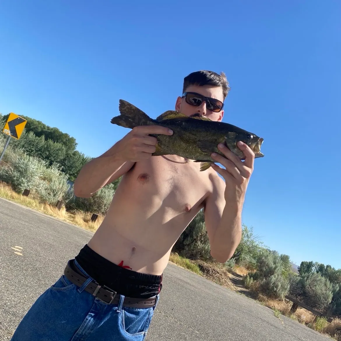 Smallmouth bass caught on Fishbrain