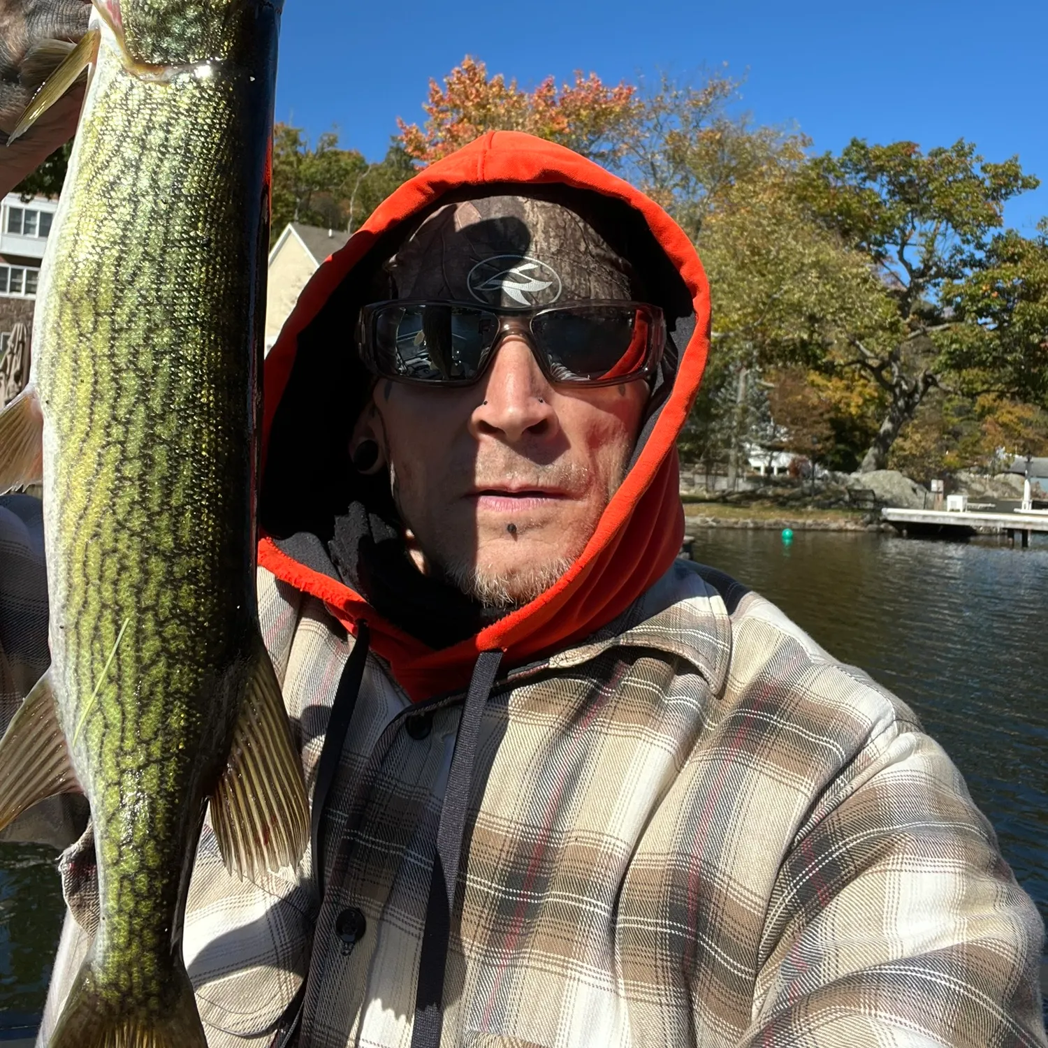 Chain pickerel caught on Fishbrain