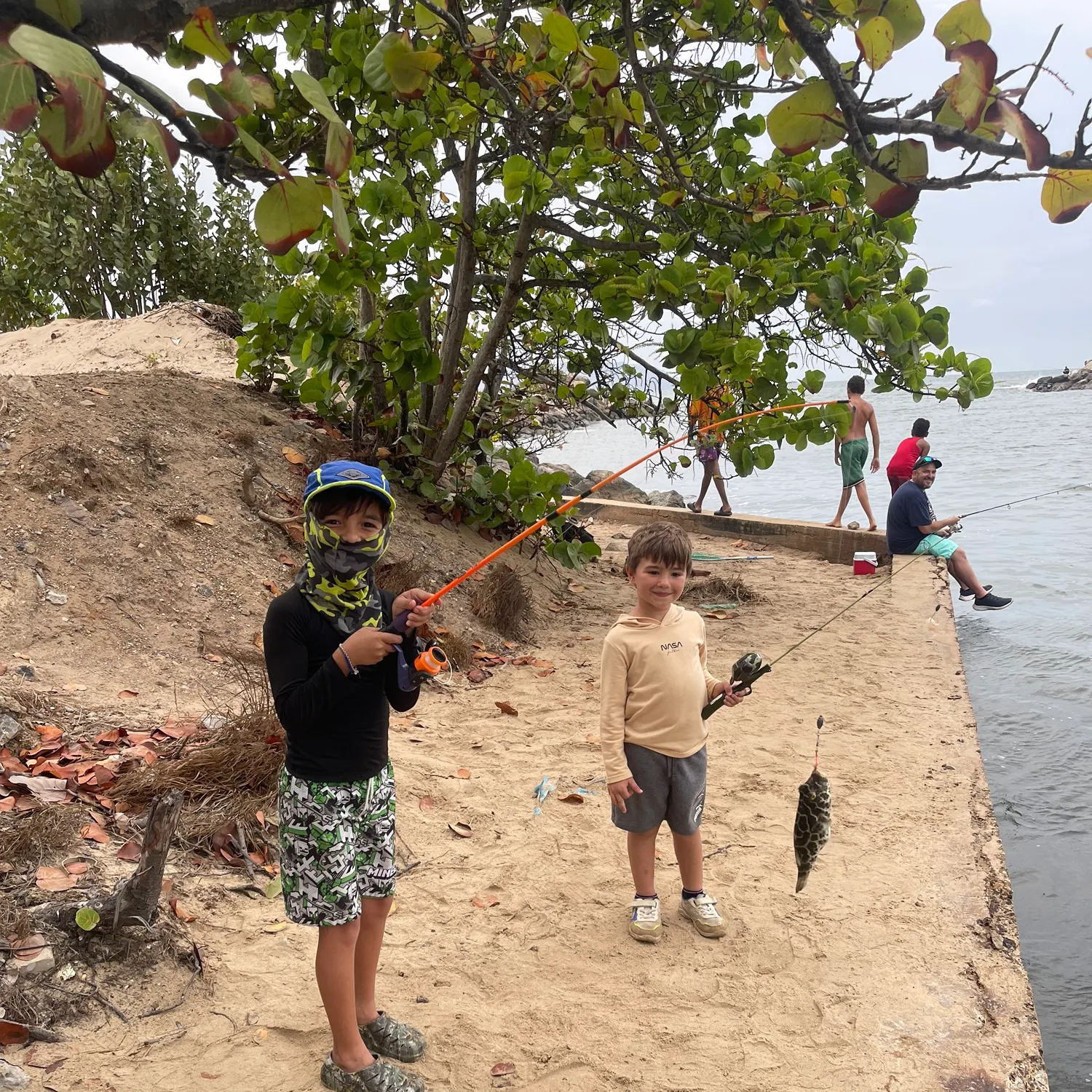 The most recent Checkered puffer catches on Fishbrain