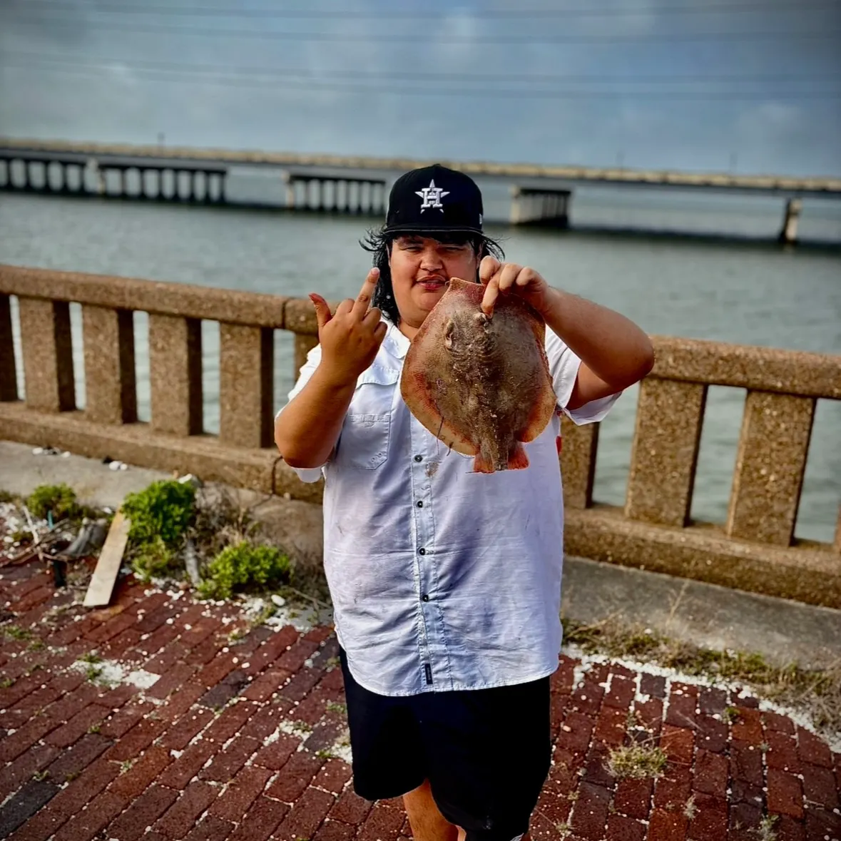 The most recent Atlantic stingray catches on Fishbrain