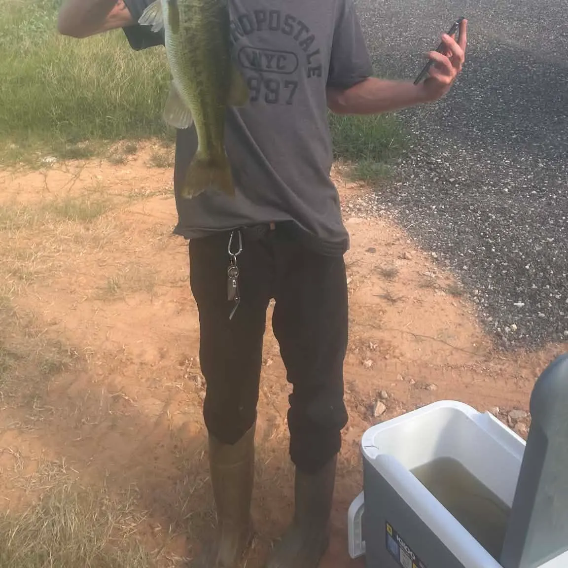 Largemouth bass caught on Fishbrain