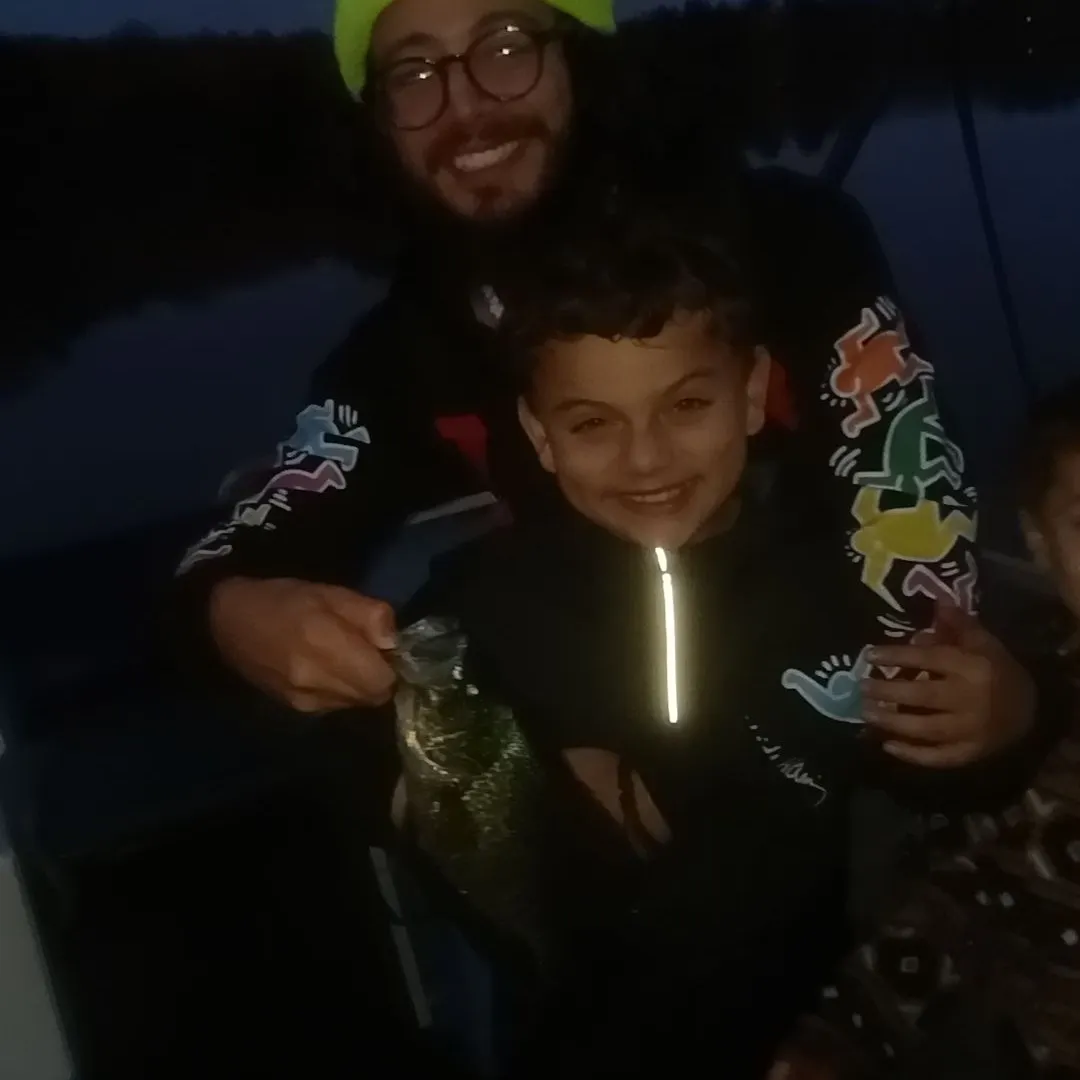 Black crappie caught on Fishbrain