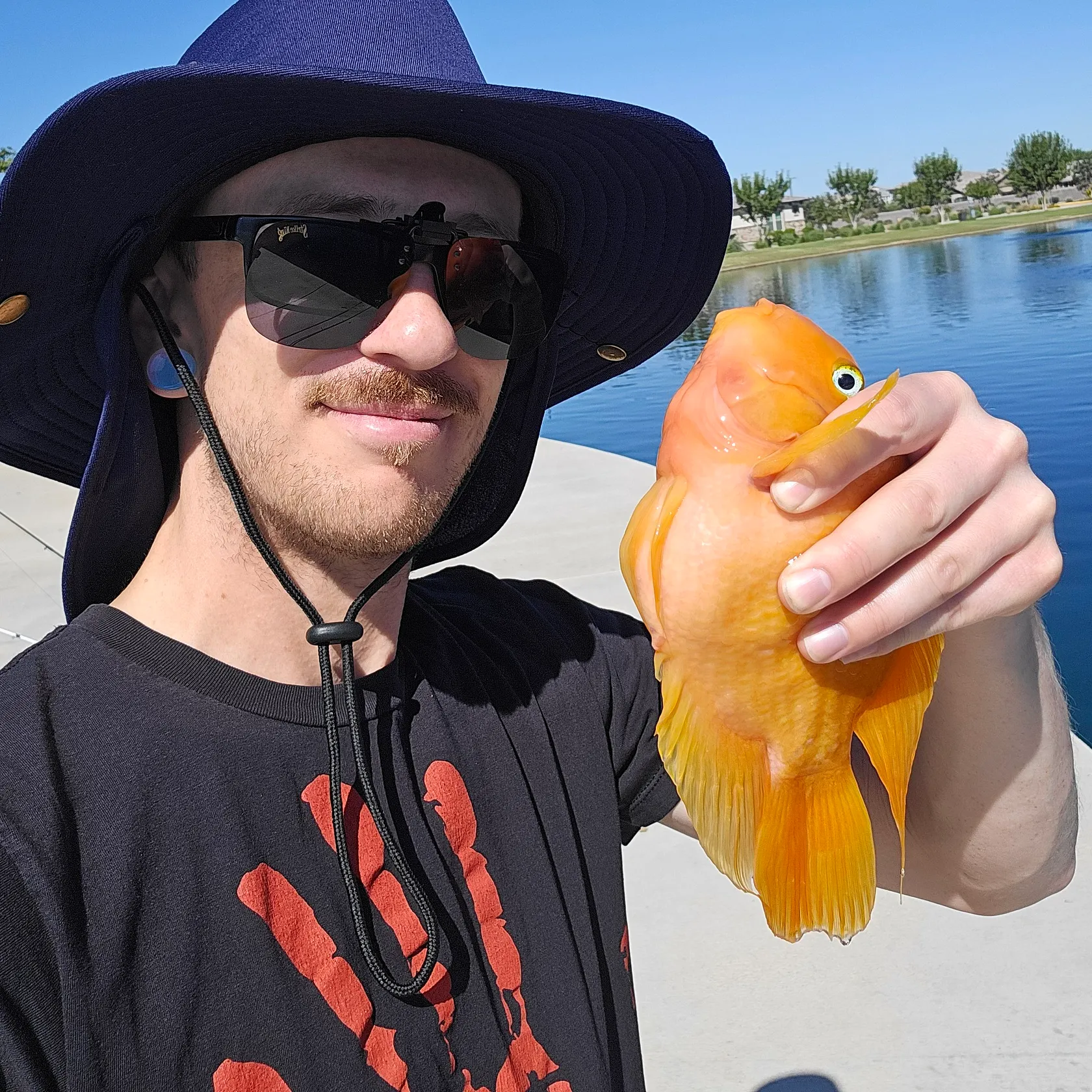 The most recent Blood parrot cichlid catches on Fishbrain