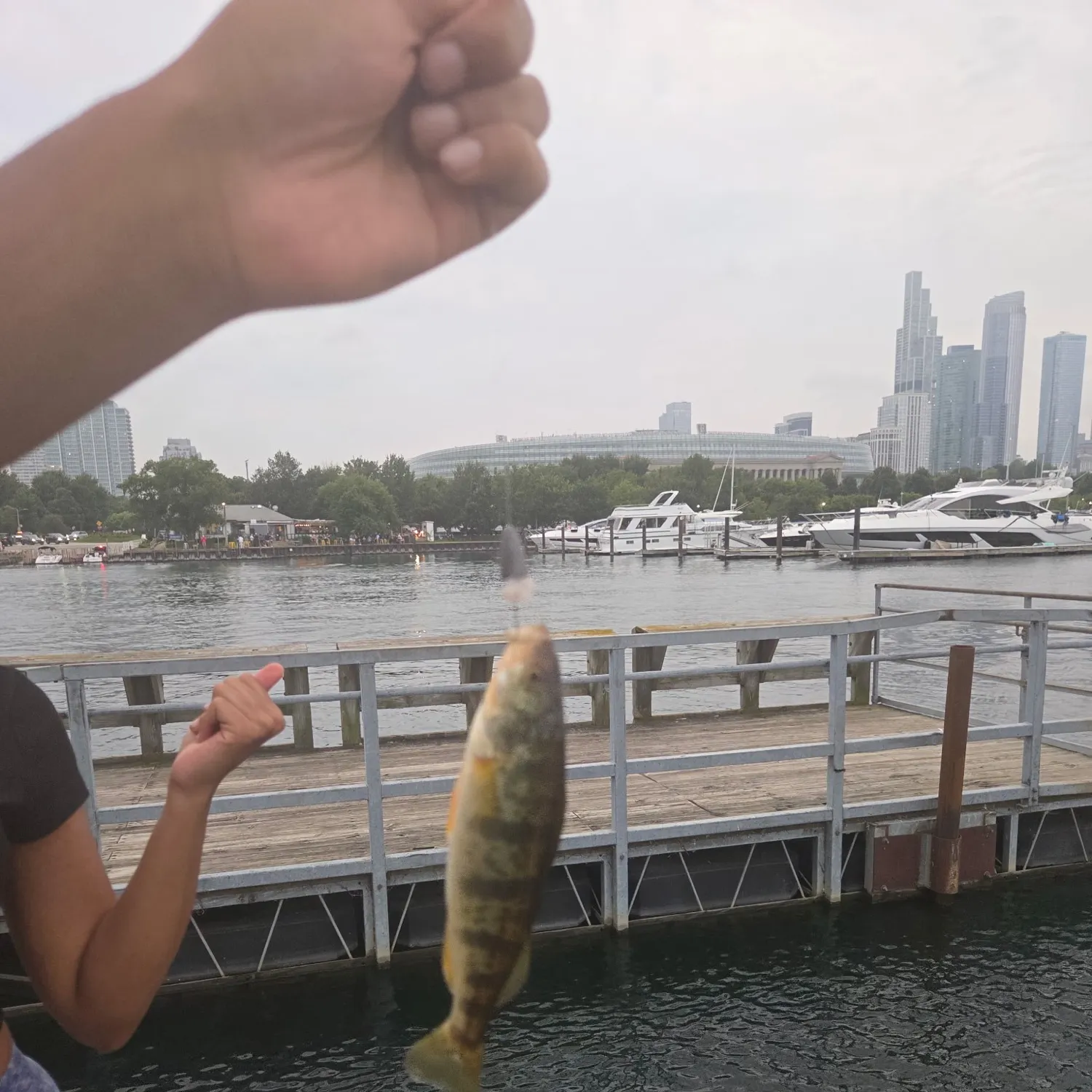 catch