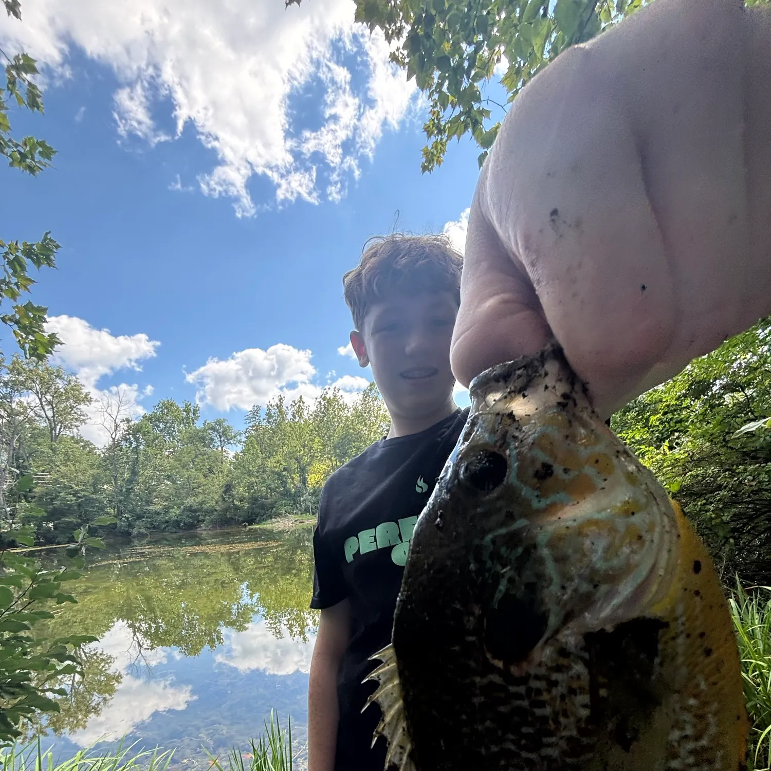 Pumpkinseed caught on Fishbrain