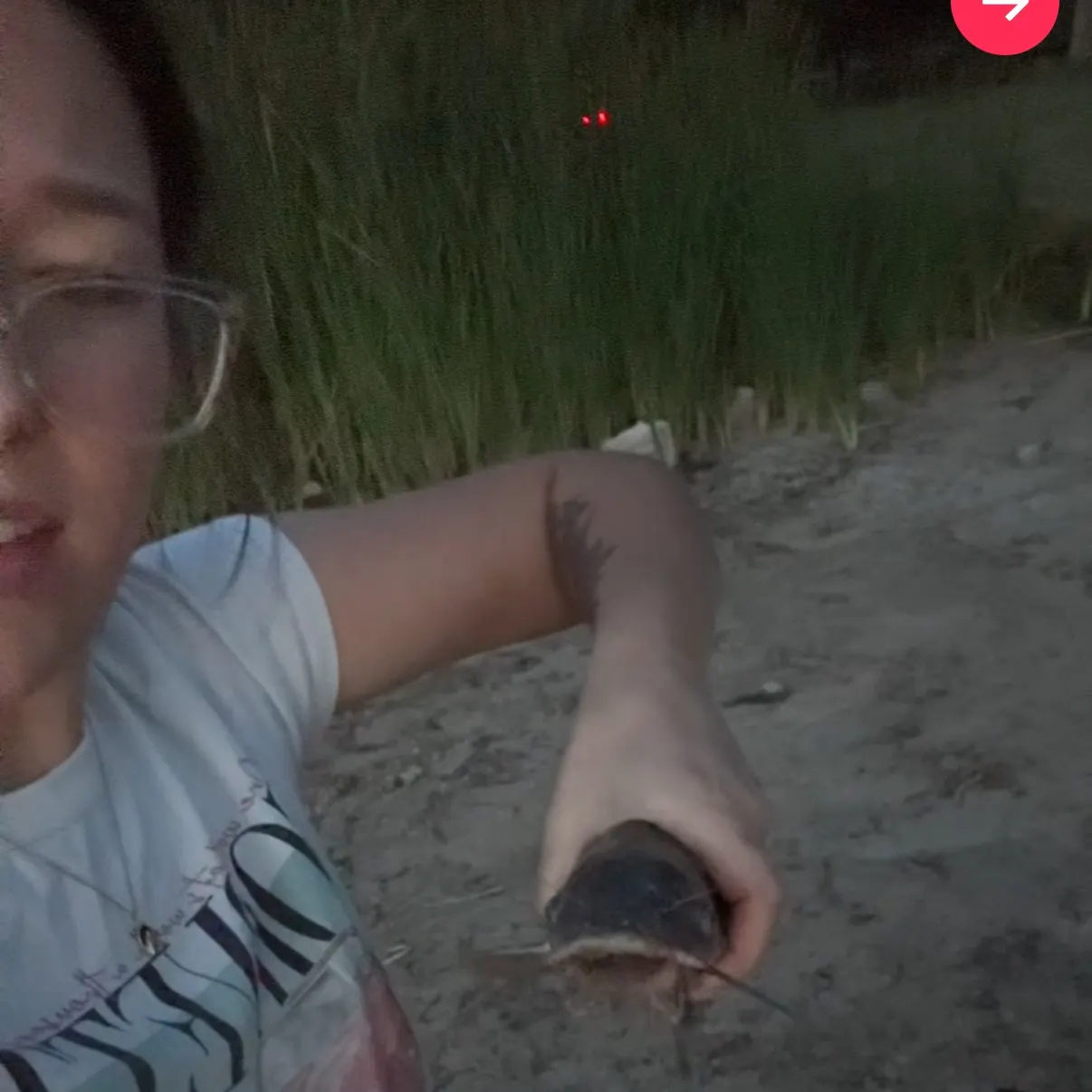 Channel catfish caught on Fishbrain