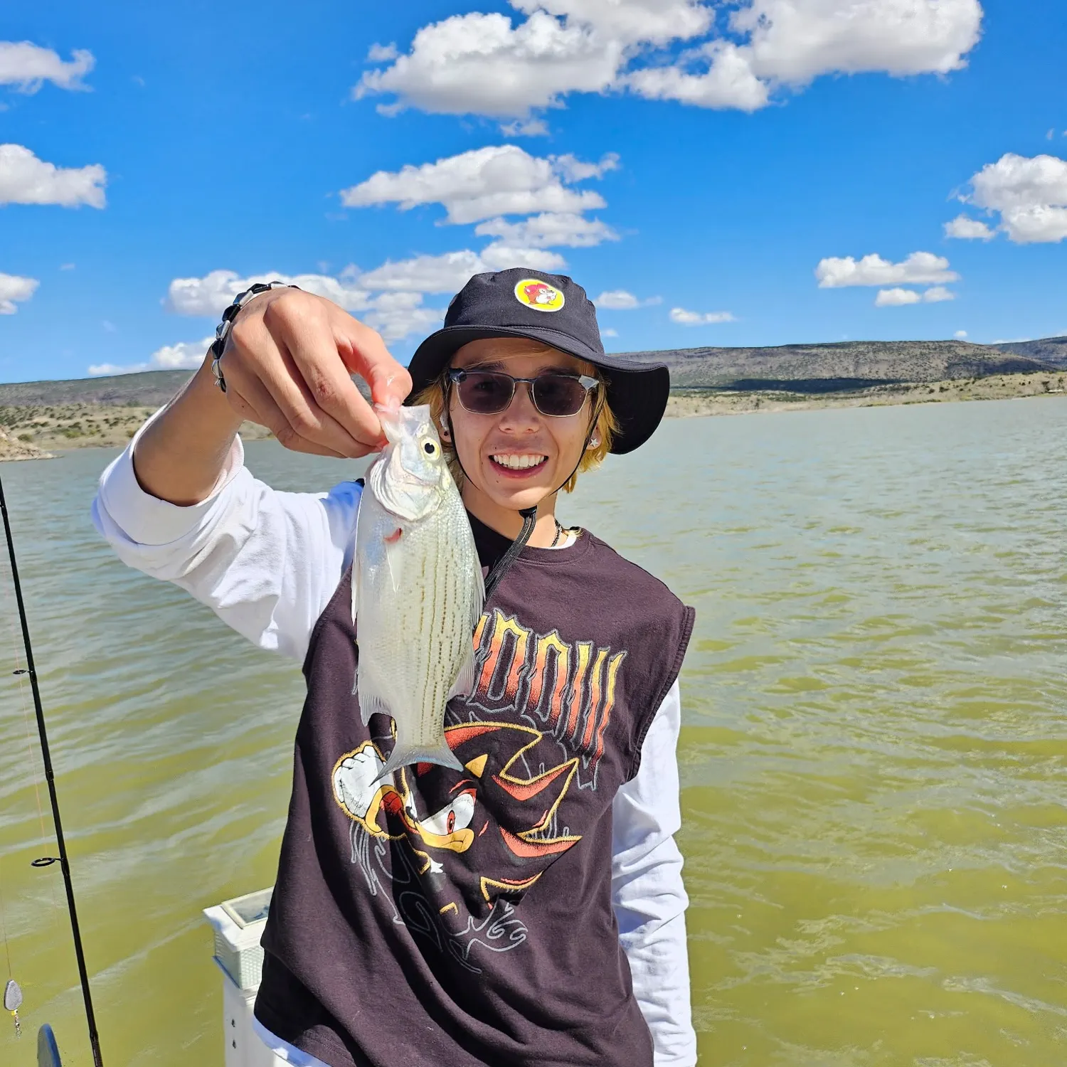 White bass caught on Fishbrain