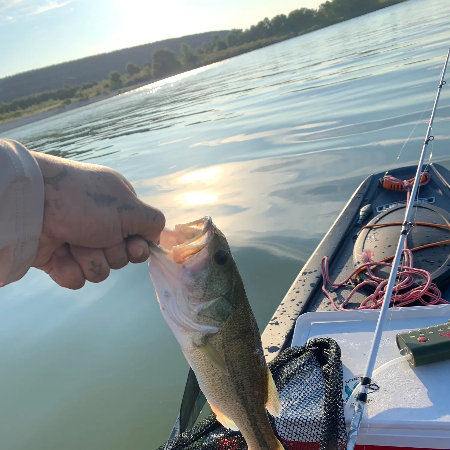 Fishing in Fort Worth, TX (United States) ️️️️ Find Spots, Species & Tips