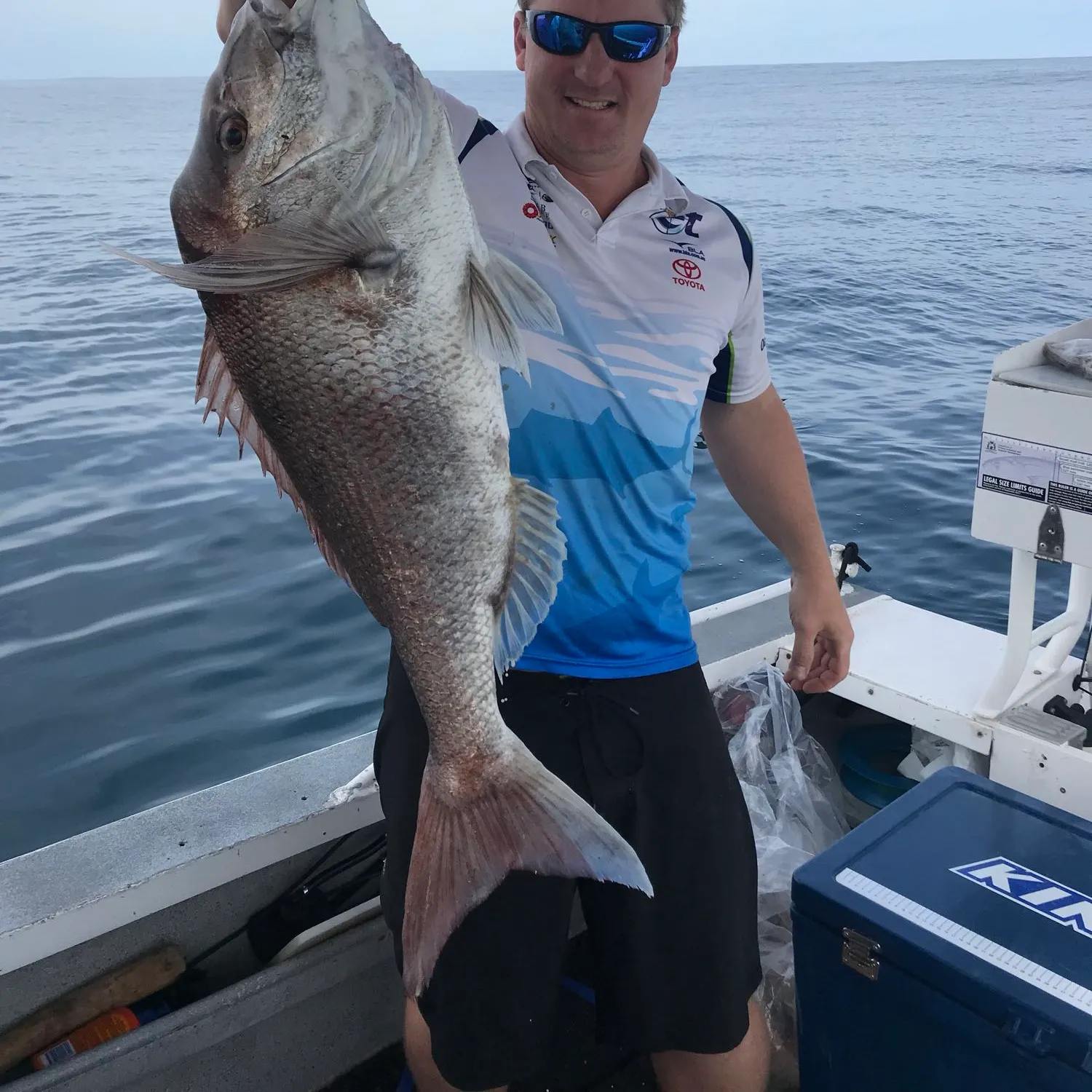 Australasian snapper caught on Fishbrain