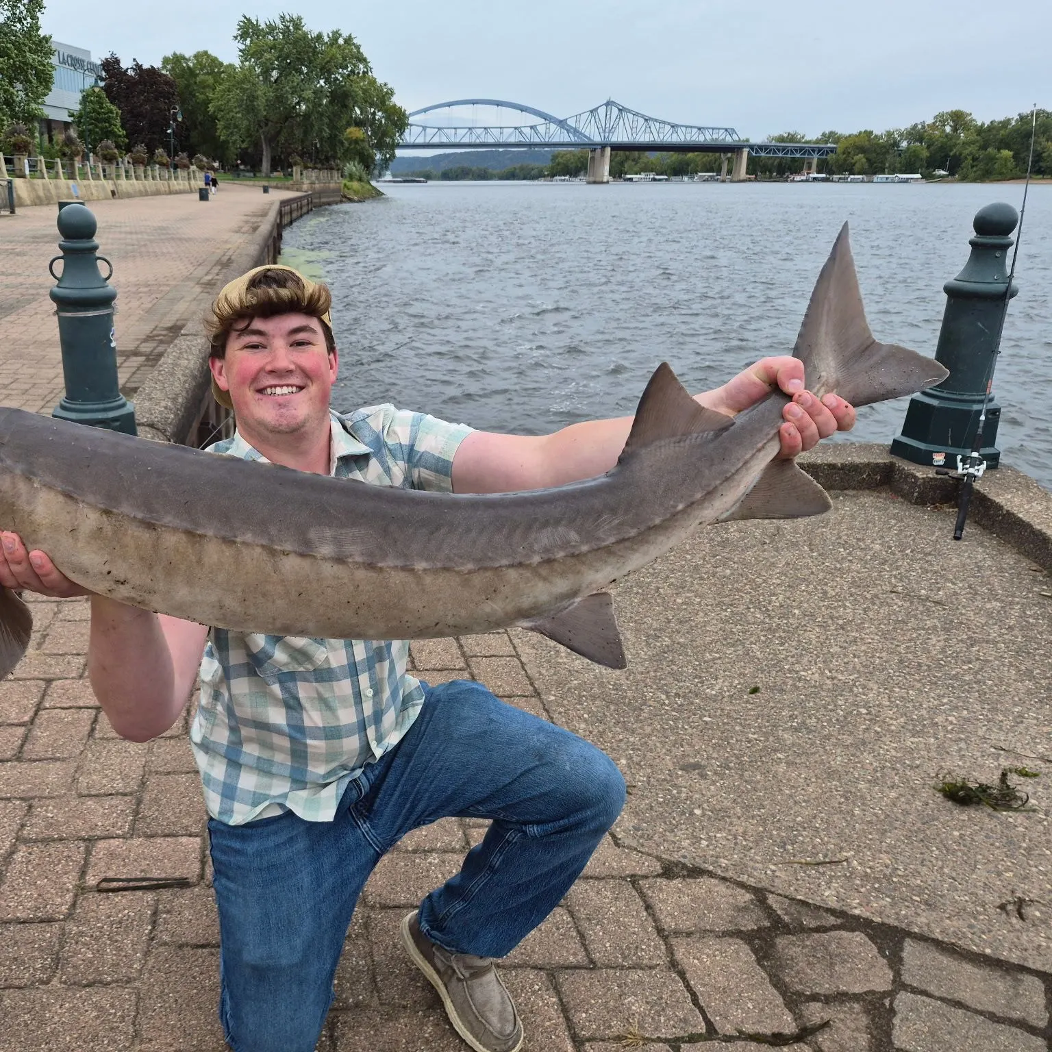 Lake sturgeon caught on Fishbrain