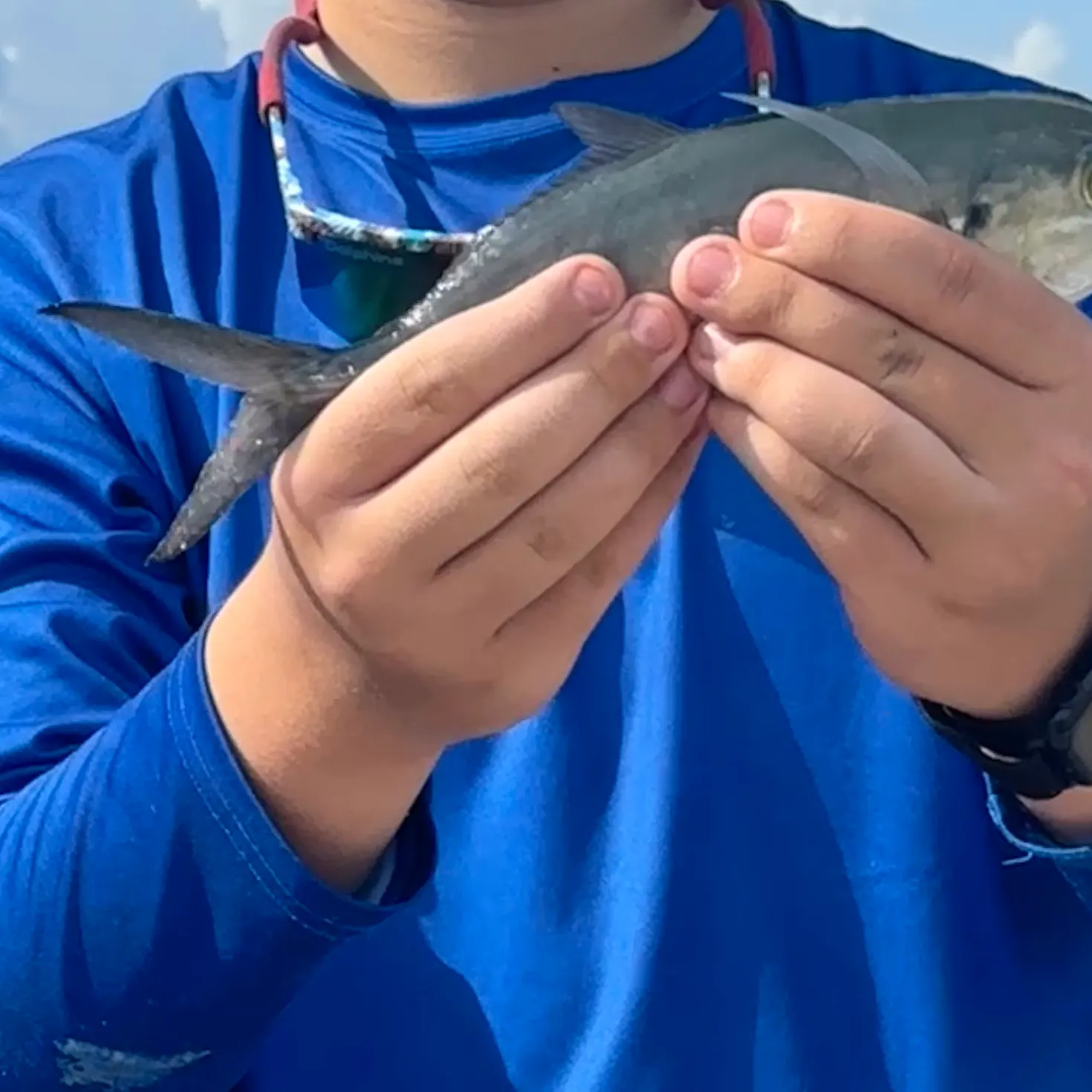Blue runner caught on Fishbrain