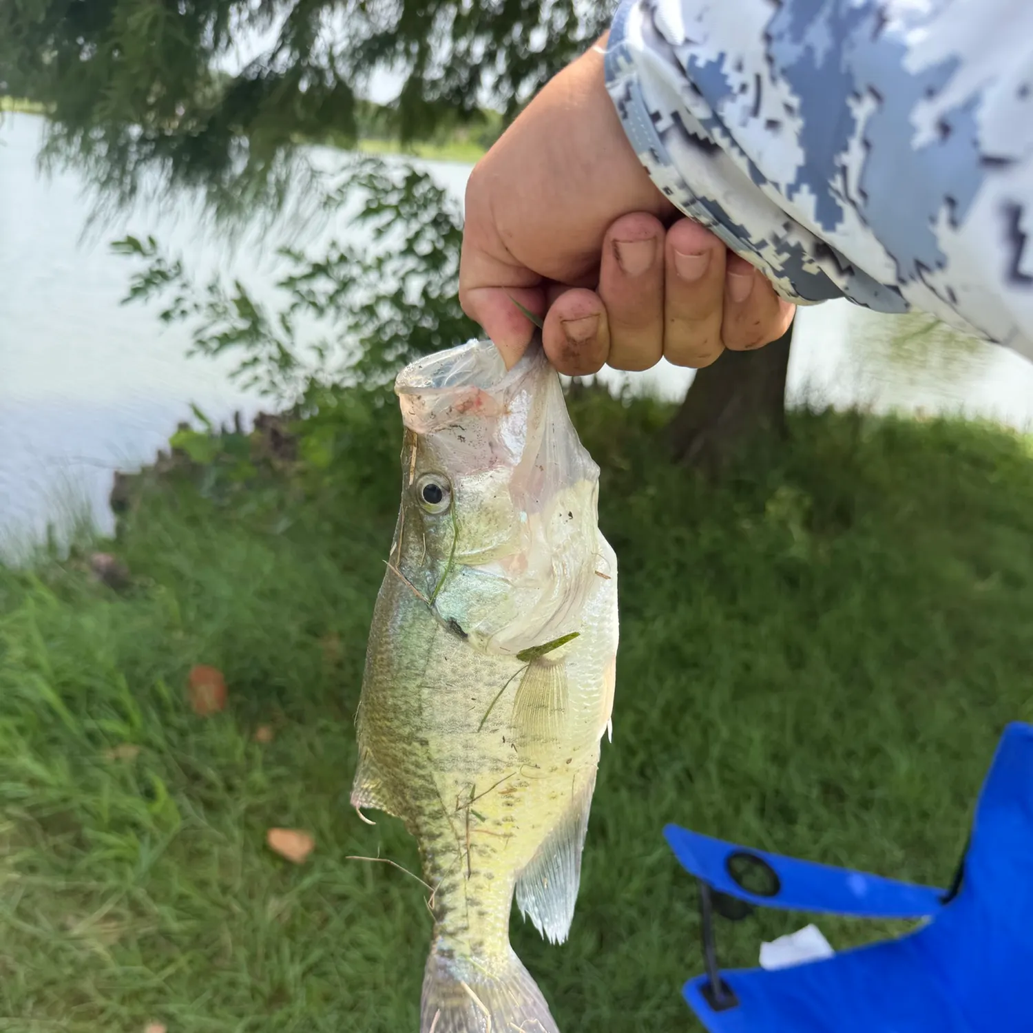 catch