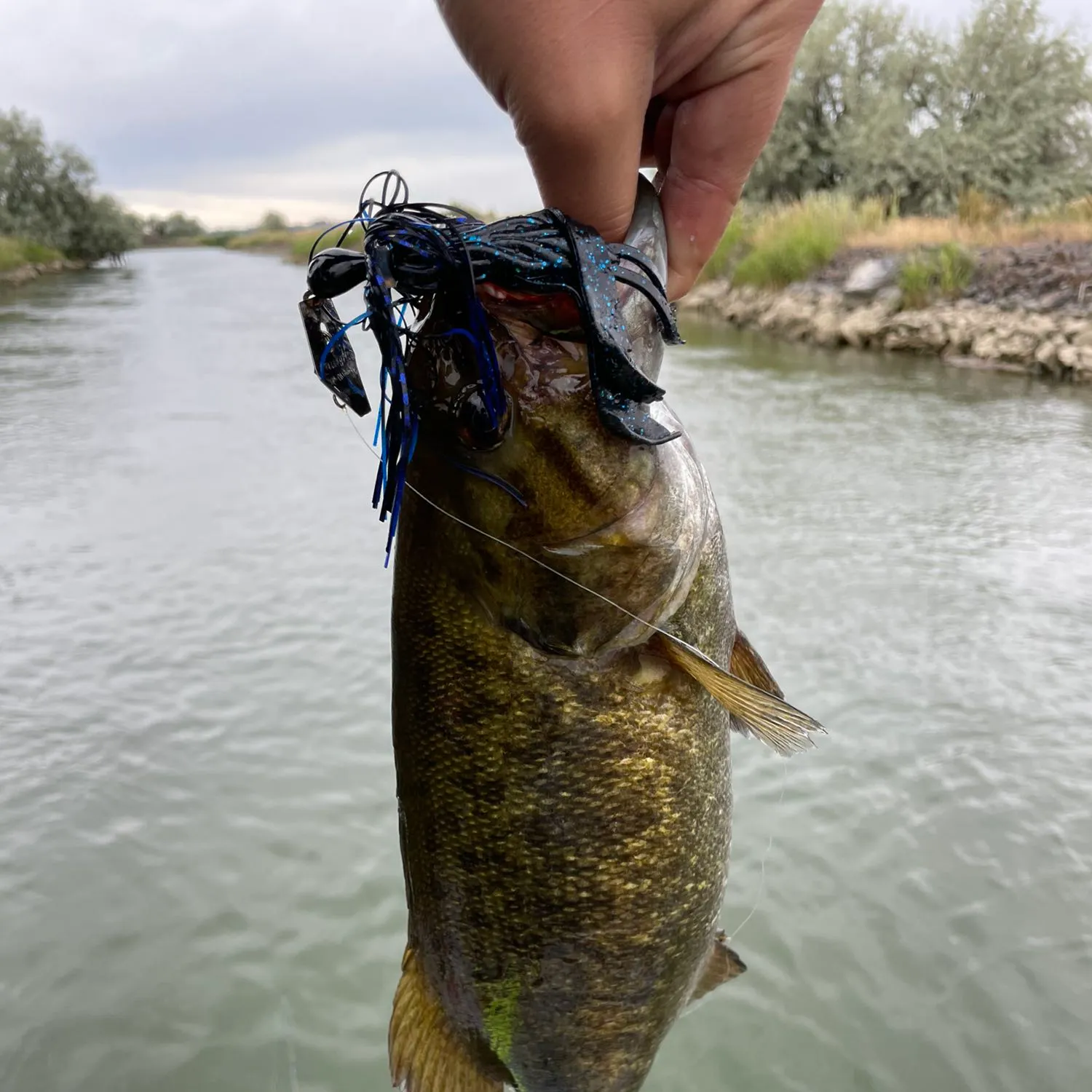 angler catch