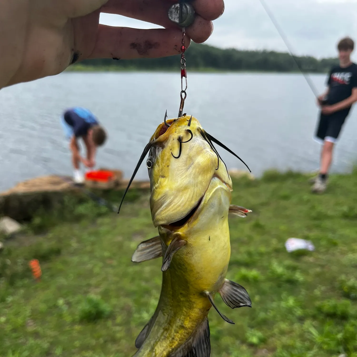 catch