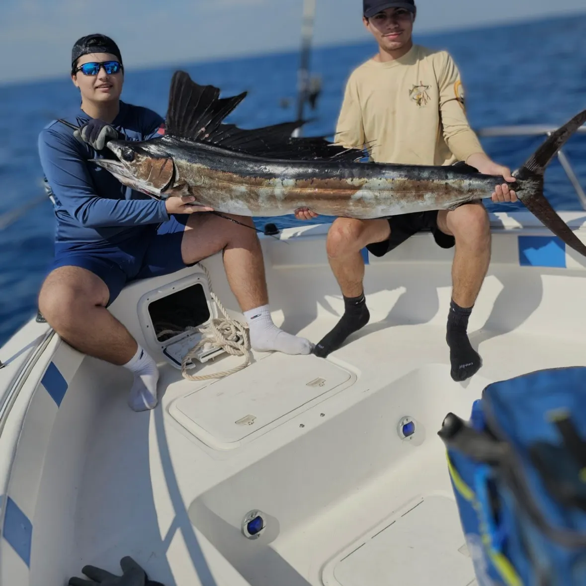 The most recent Atlantic sailfish catches on Fishbrain