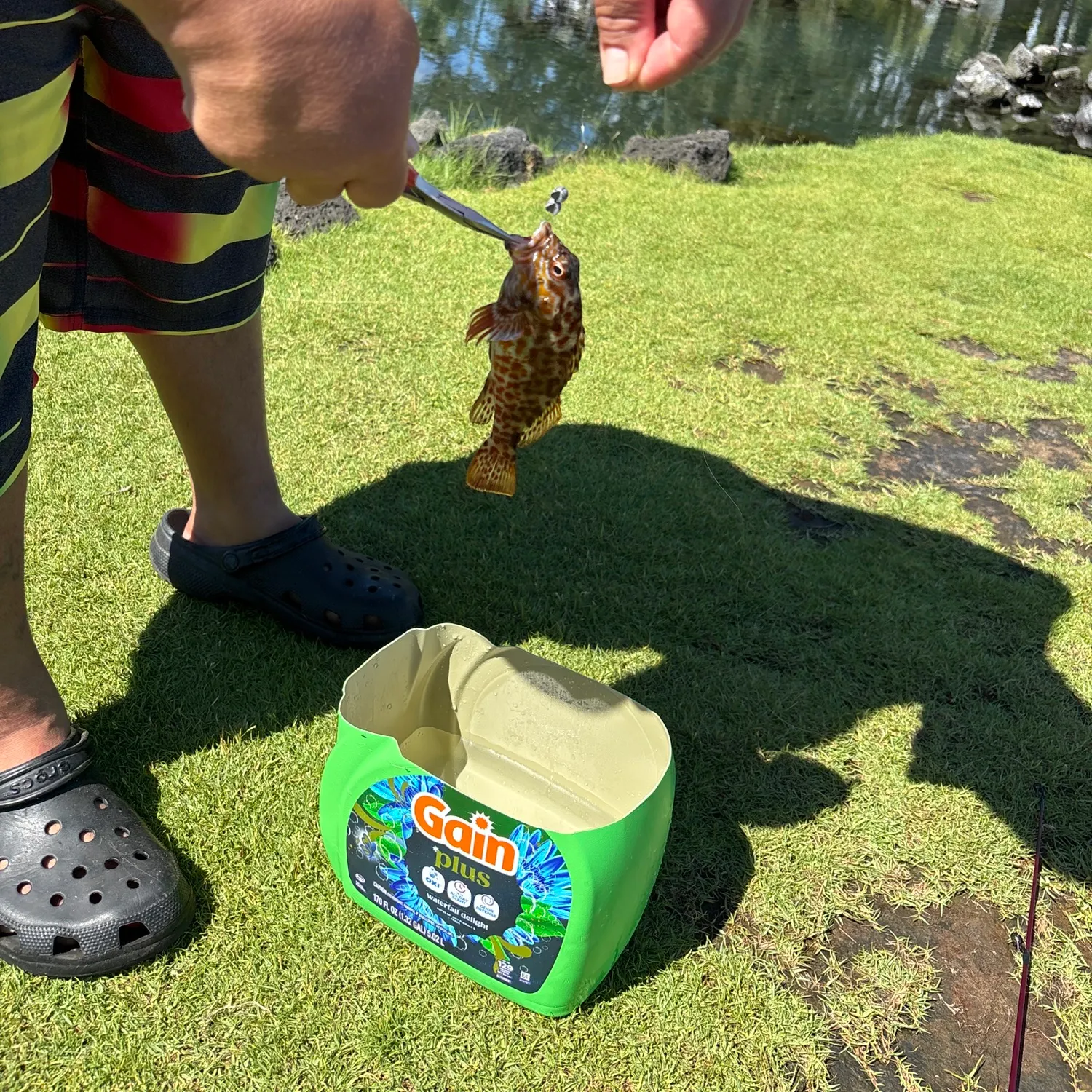 catch