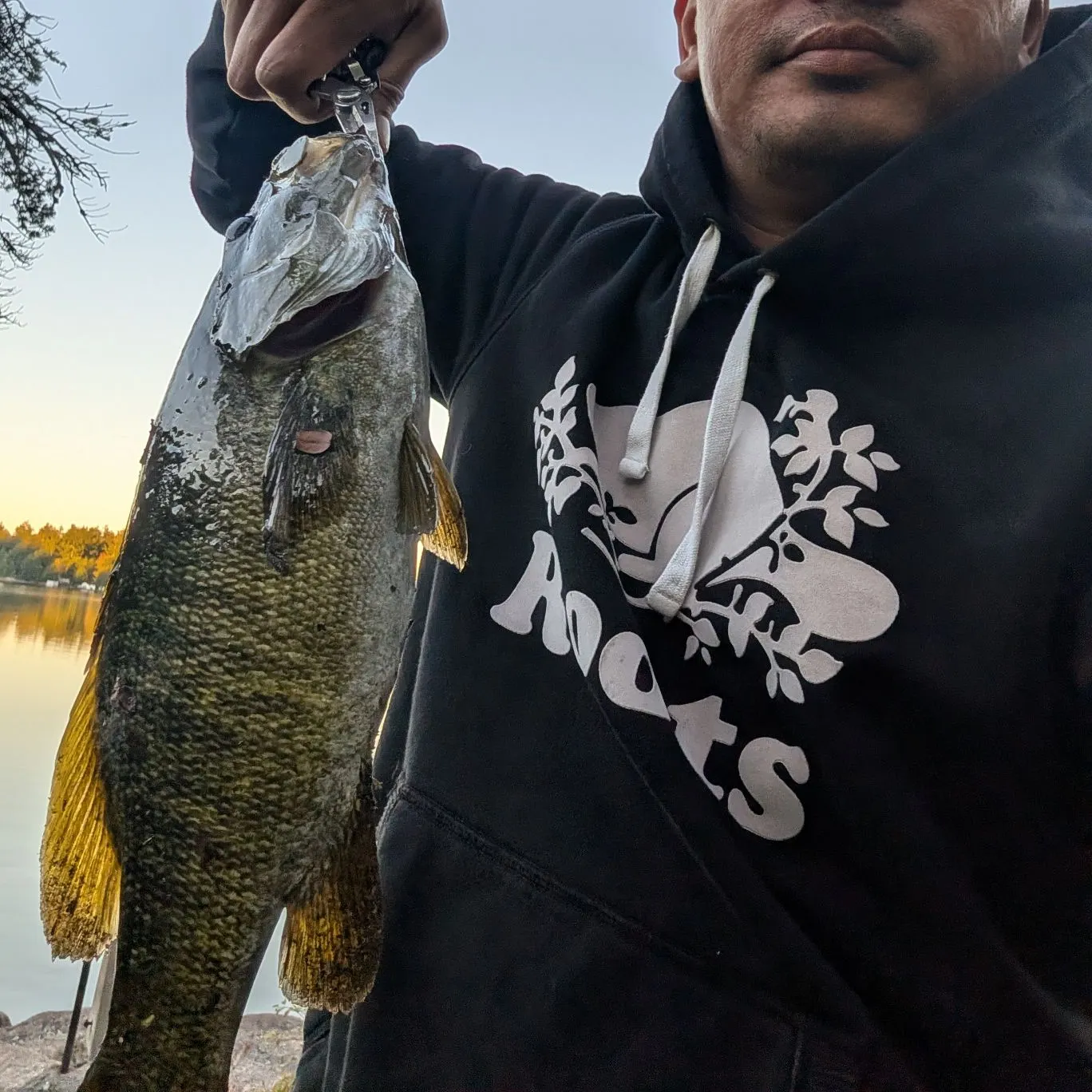 Smallmouth bass caught on Fishbrain