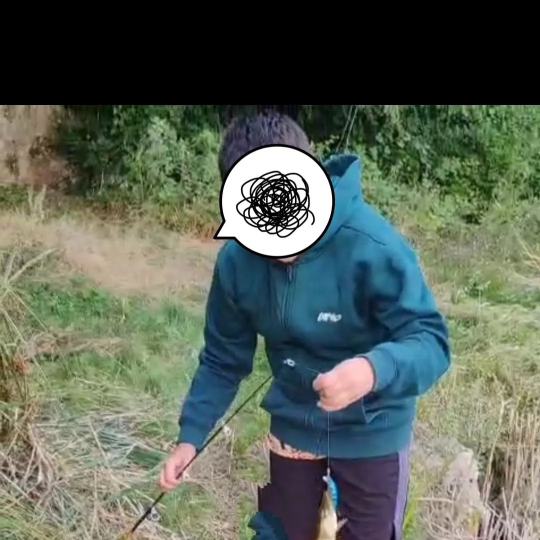 The most recent Grass pickerel catches on Fishbrain