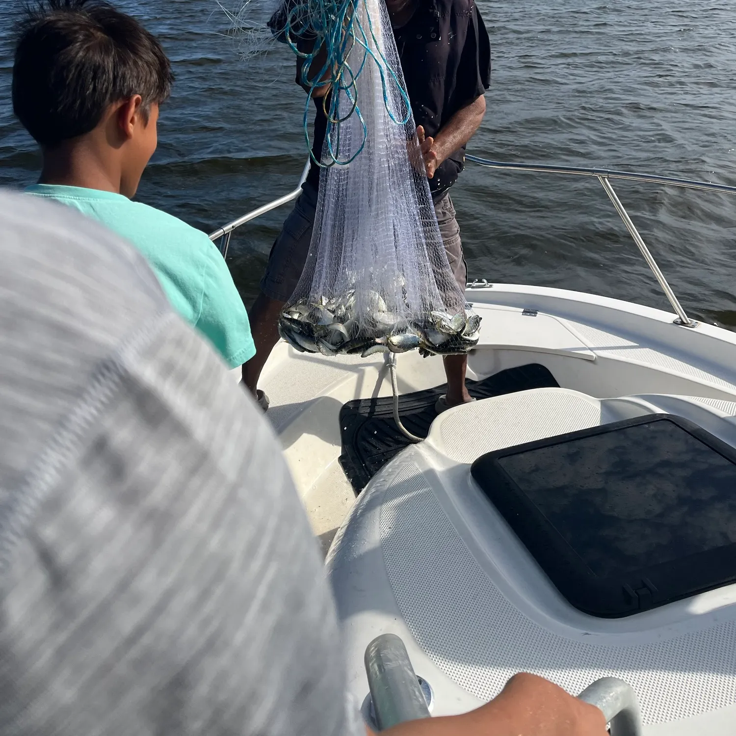 Atlantic menhaden caught on Fishbrain