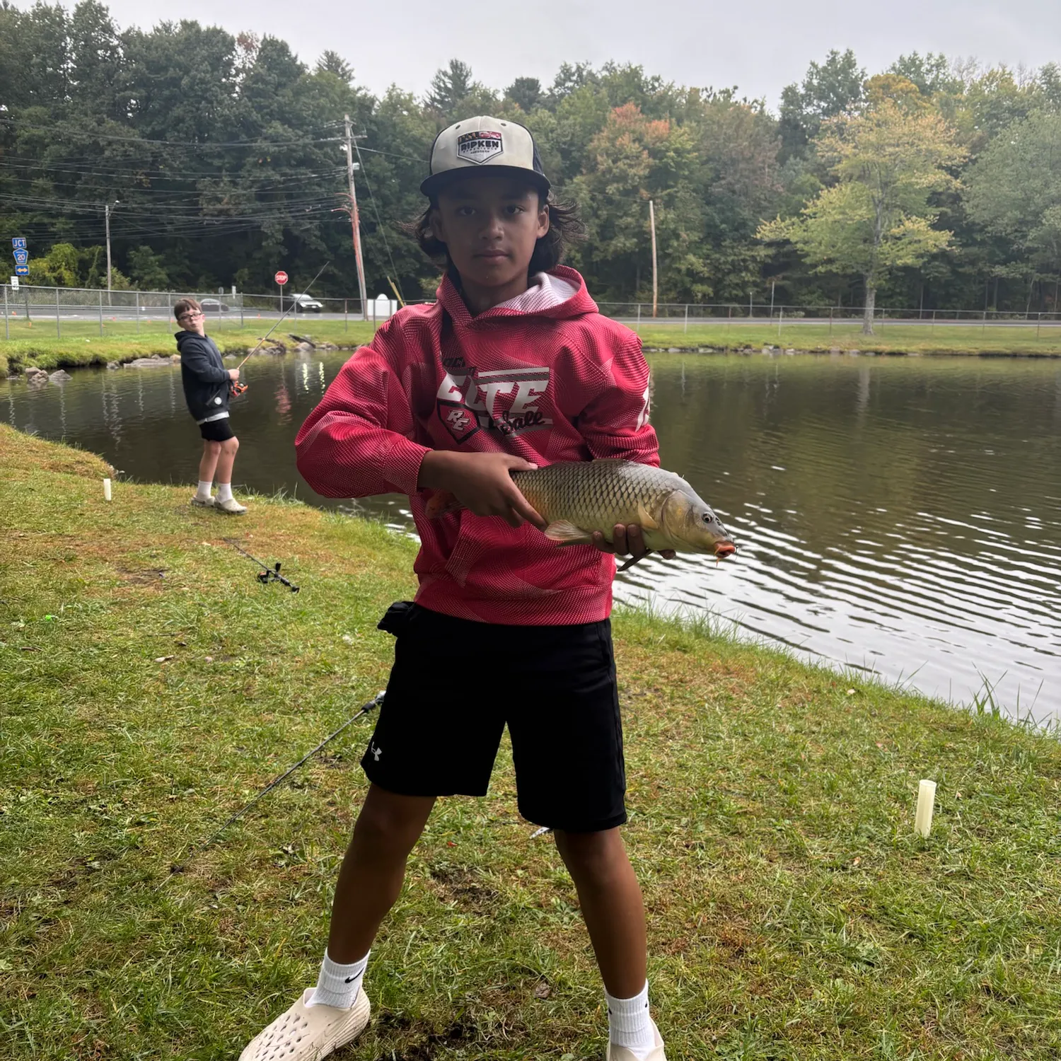 Common carp caught on Fishbrain