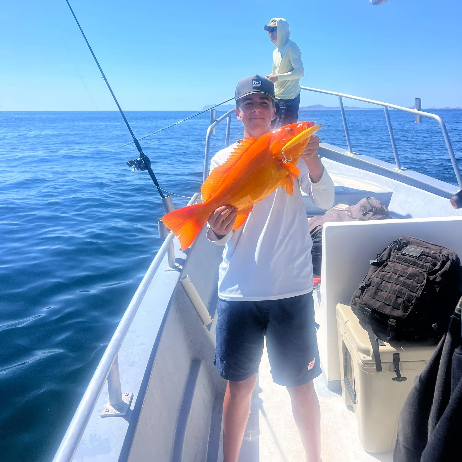 The most recent Coral grouper catches on Fishbrain