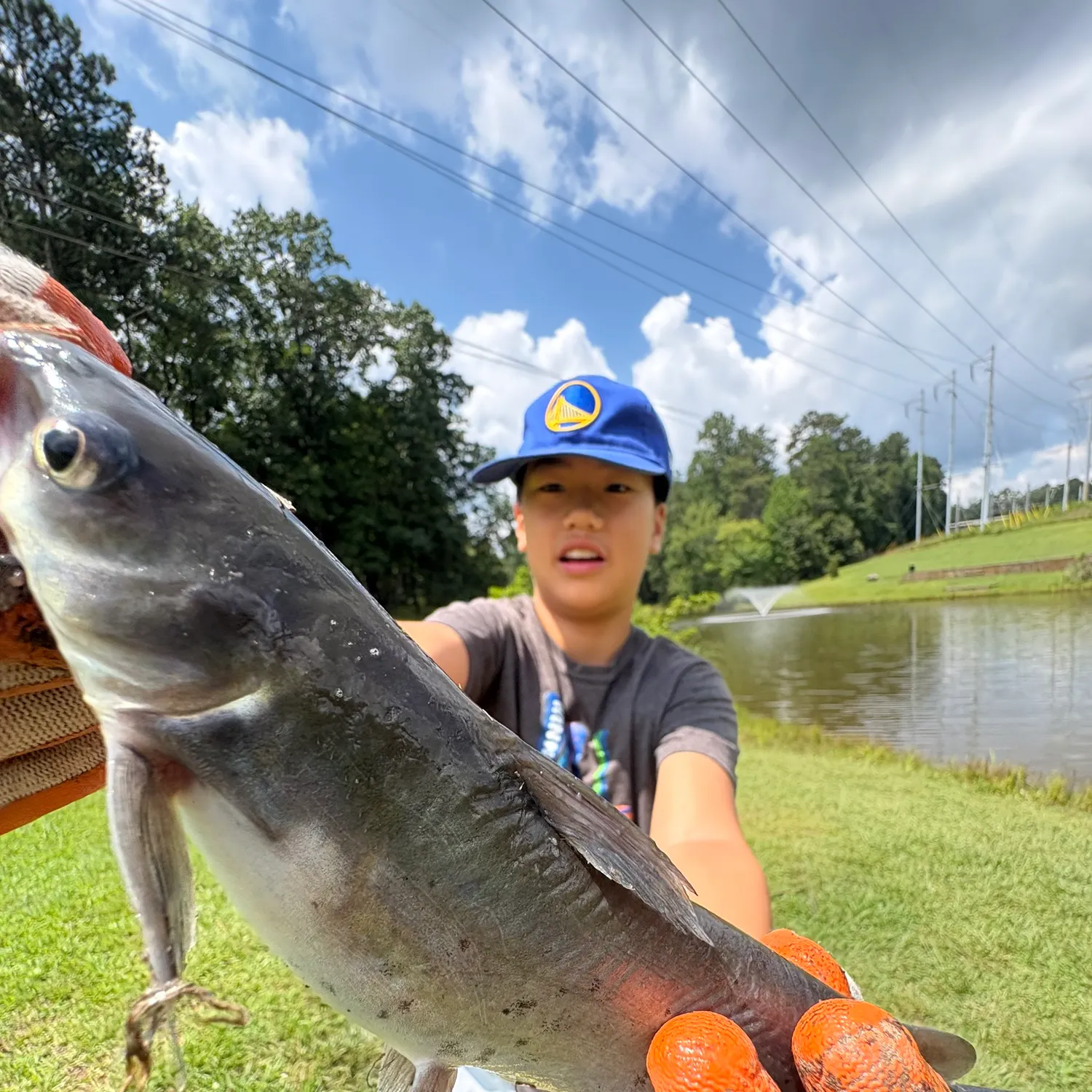 catch