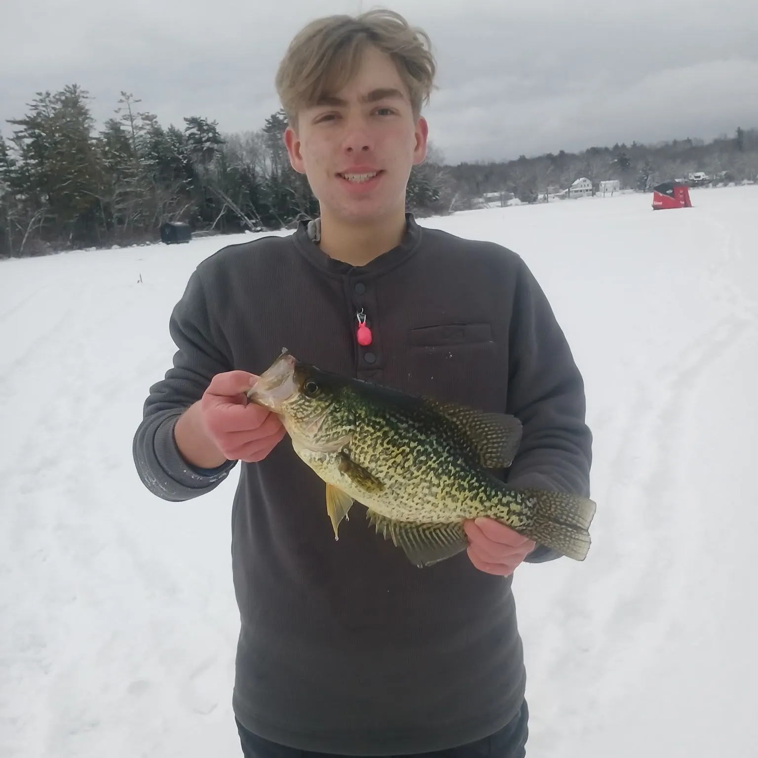 The most recent Black crappie catches on Fishbrain