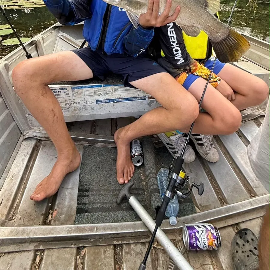 Barramundi caught on Fishbrain