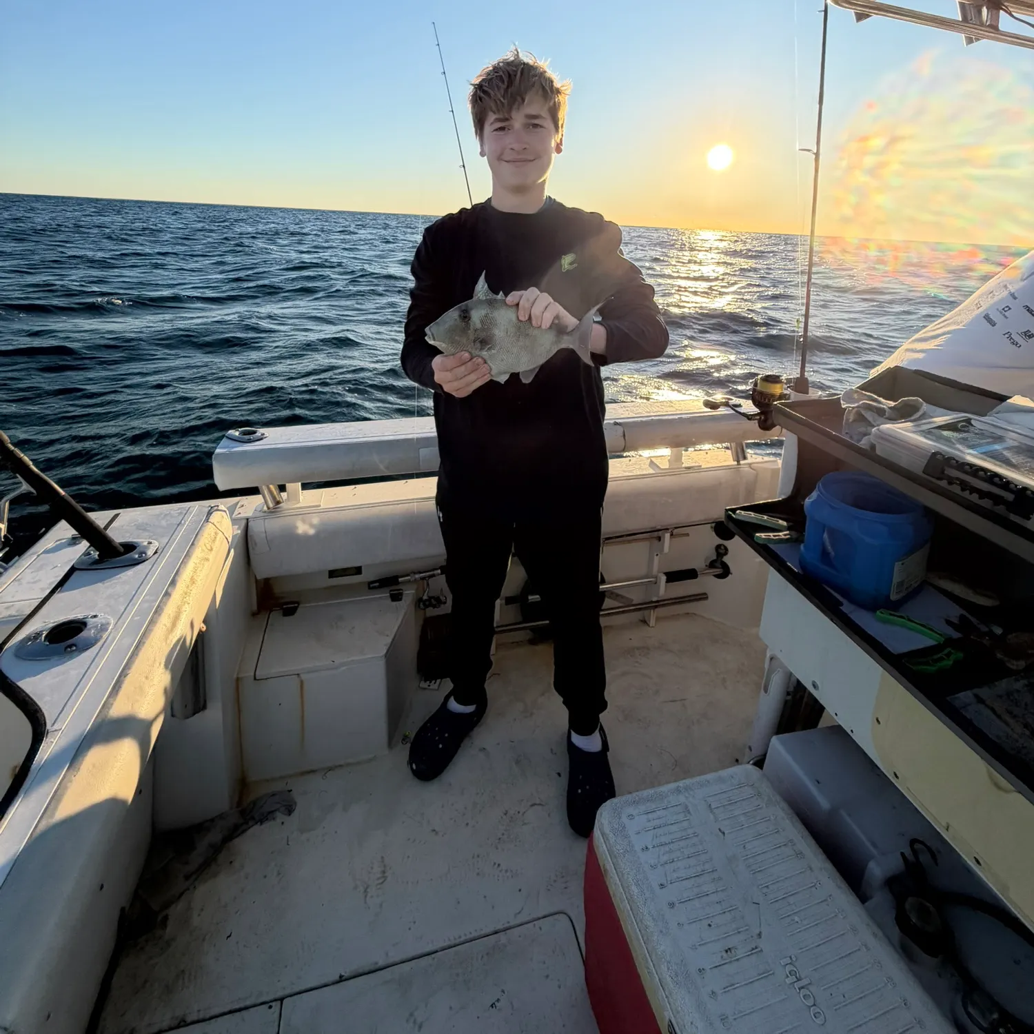 The most recent Grey triggerfish catches on Fishbrain