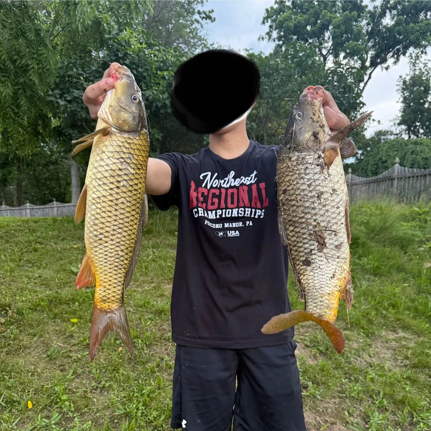 The most recent Common carp catches on Fishbrain