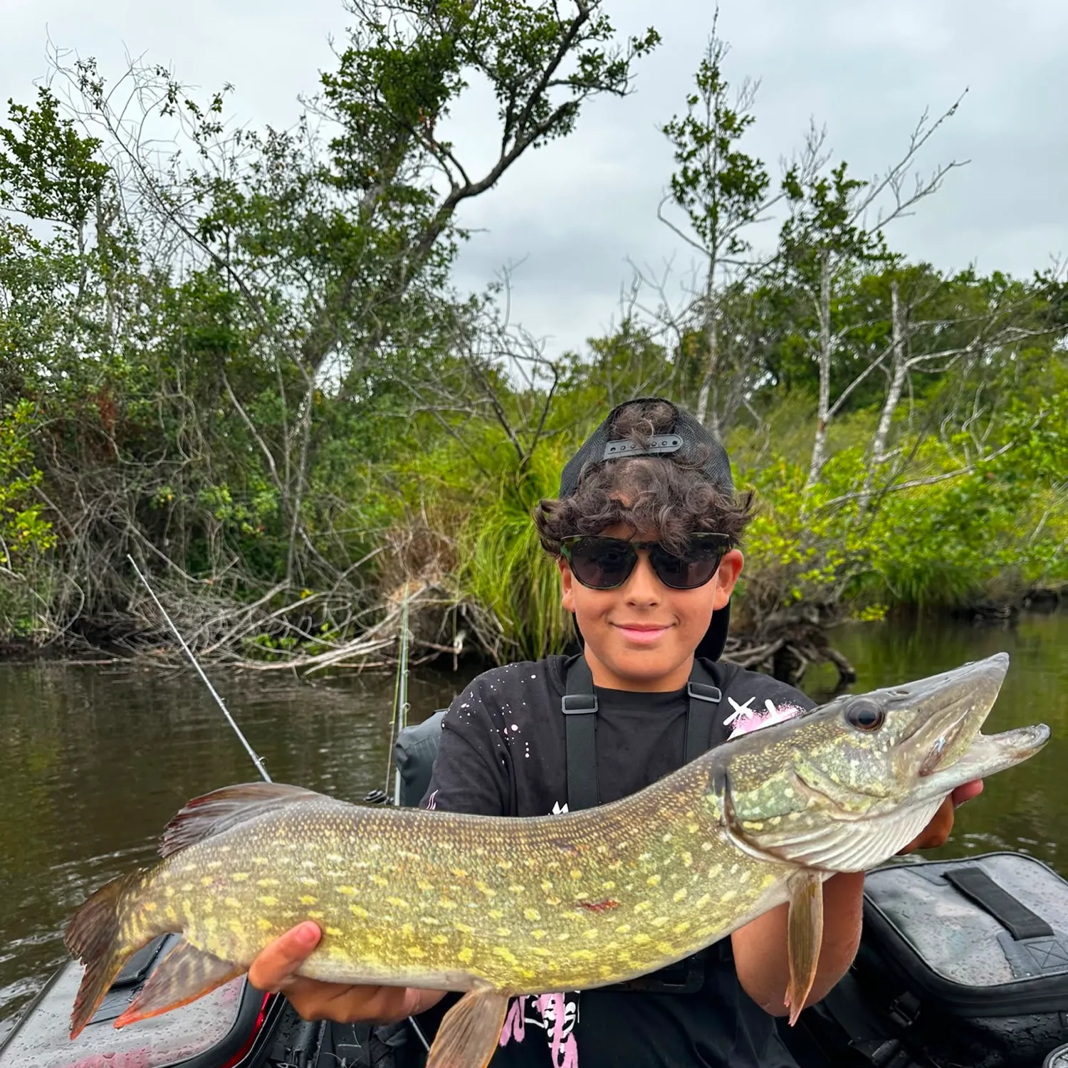 Northern pike caught on Fishbrain