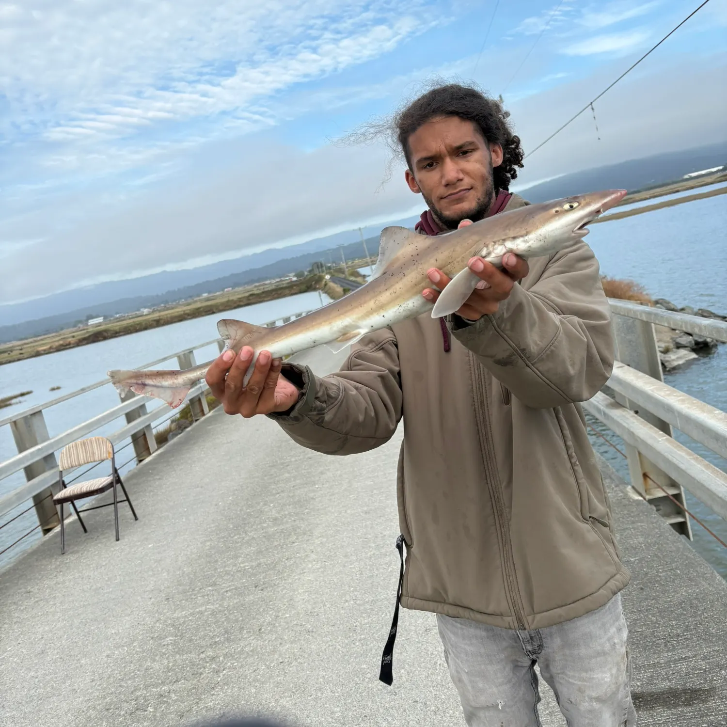 The most recent Grey smooth-hound catches on Fishbrain