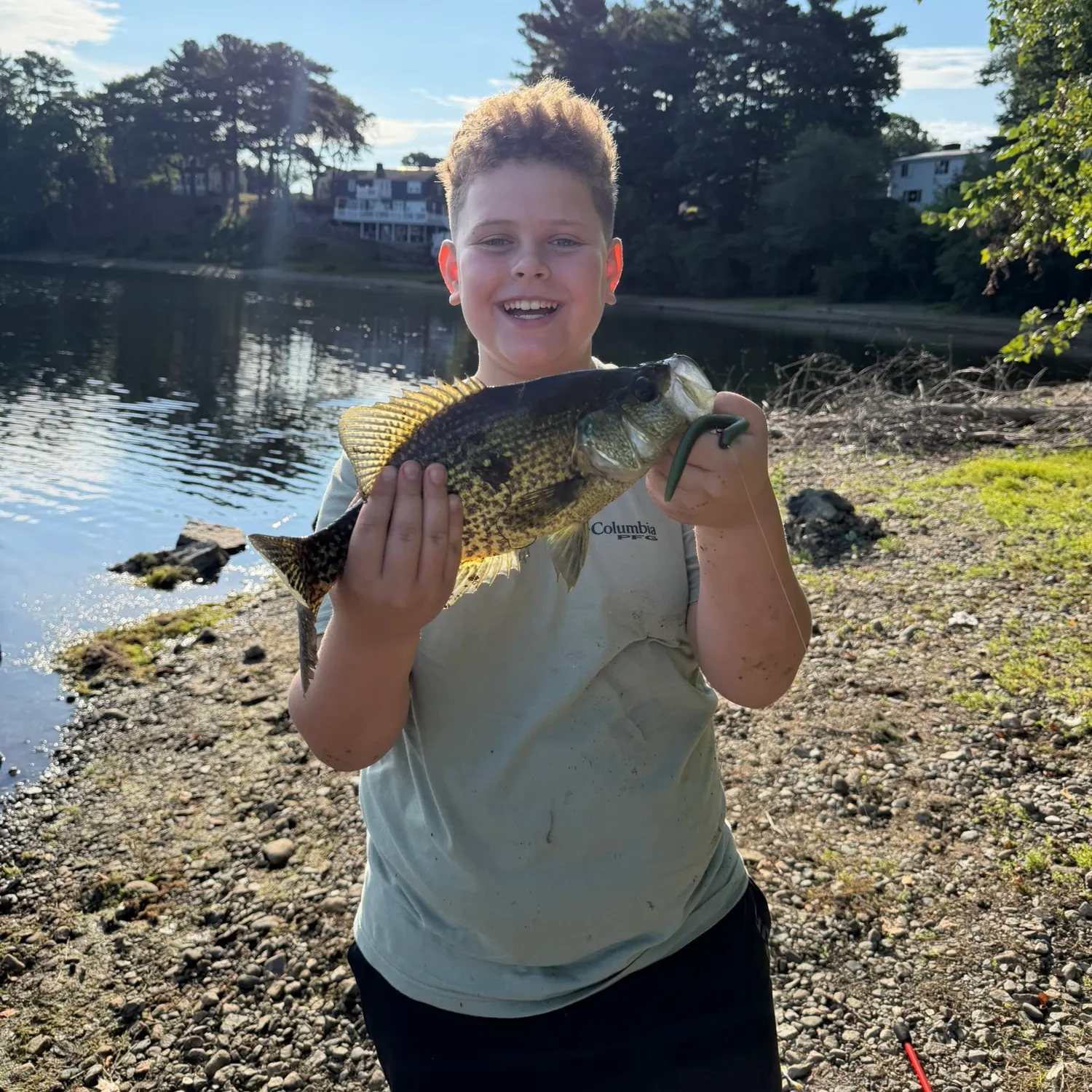 Black crappie caught on Fishbrain