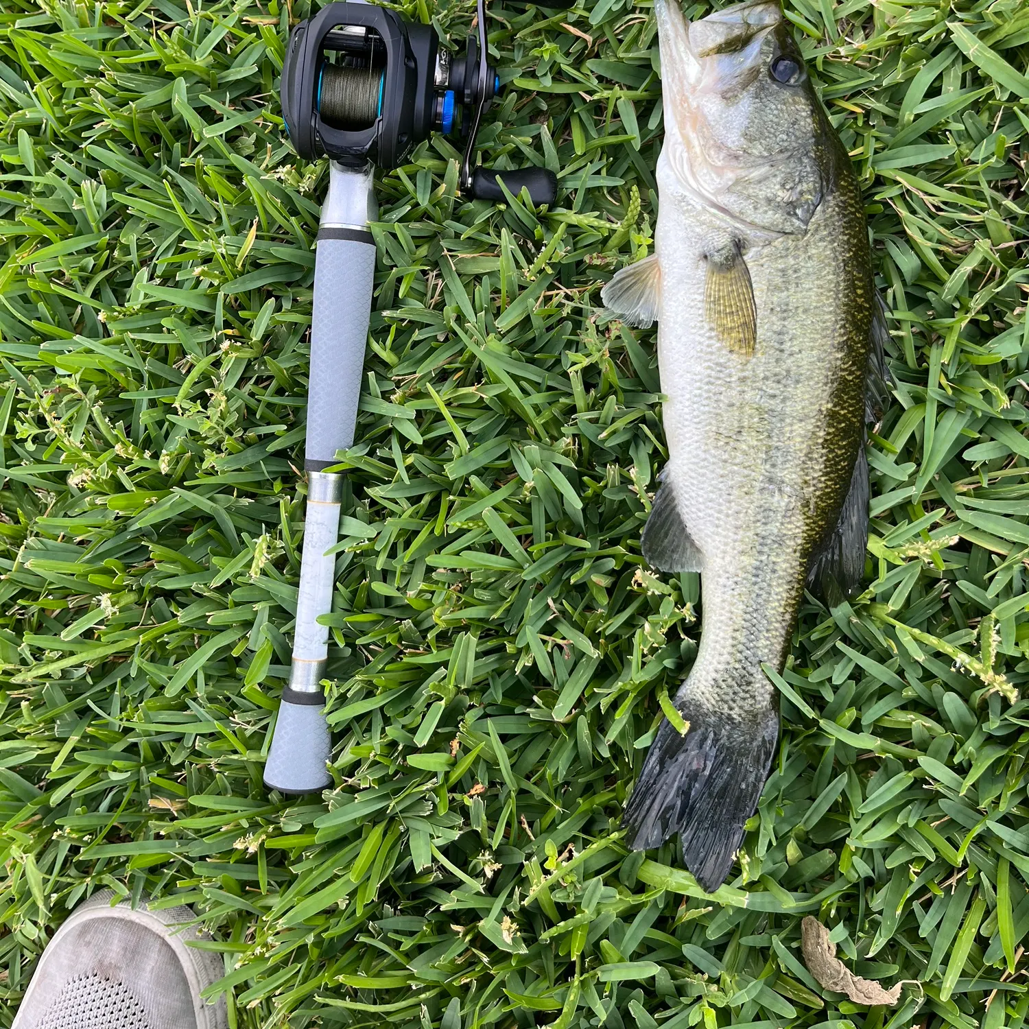 angler catch