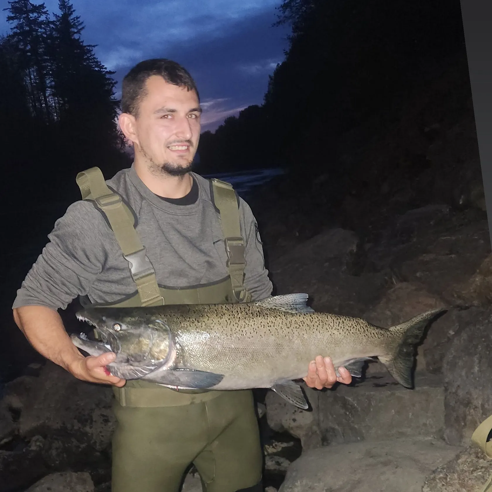 Chinook salmon caught on Fishbrain