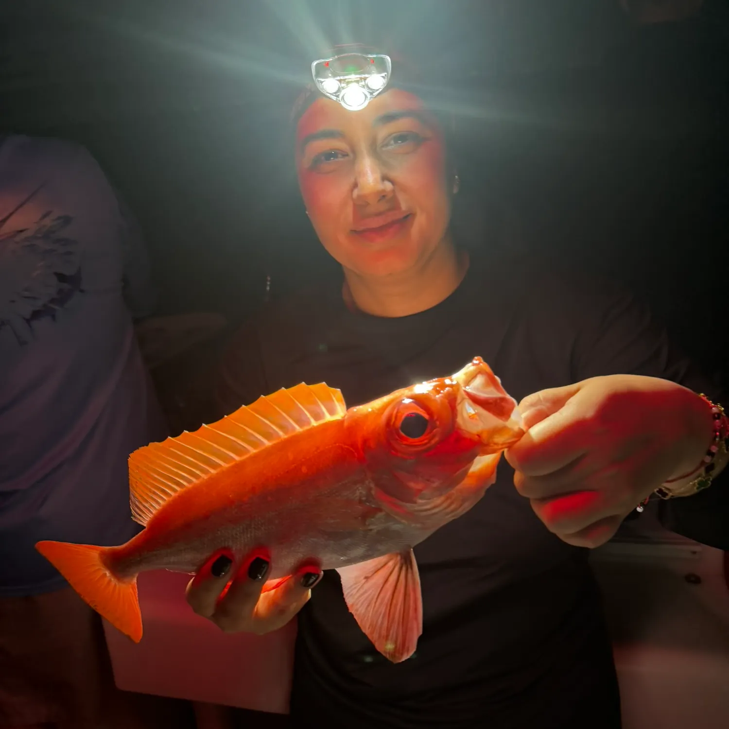 The most recent Atlantic bigeye catches on Fishbrain