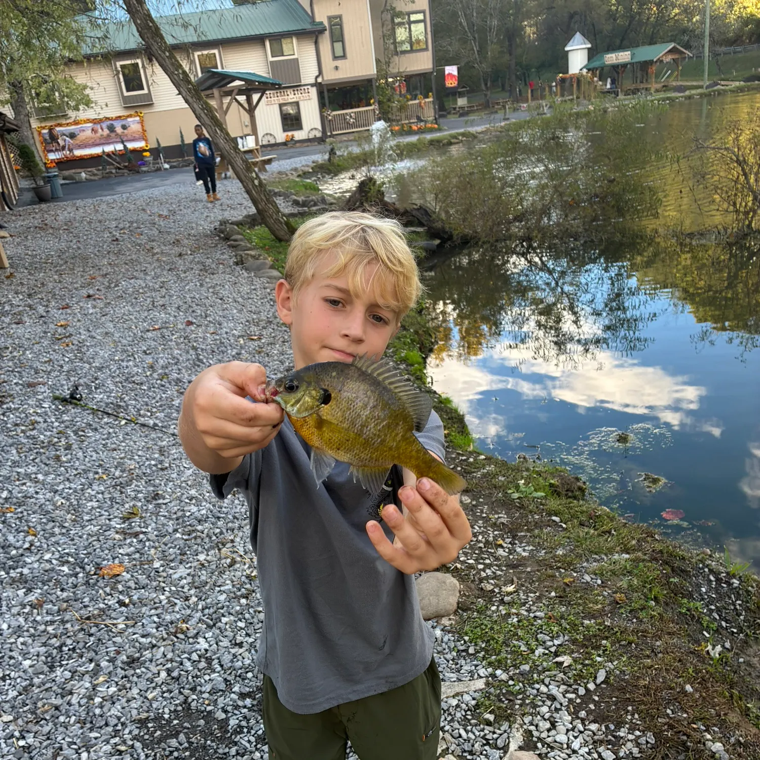 Bluegill caught on Fishbrain