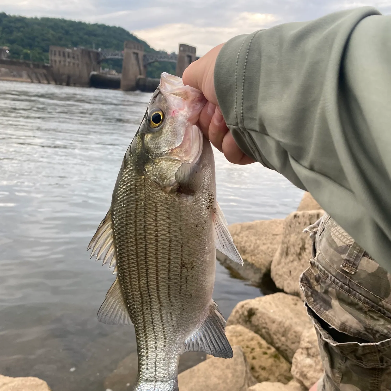 catch