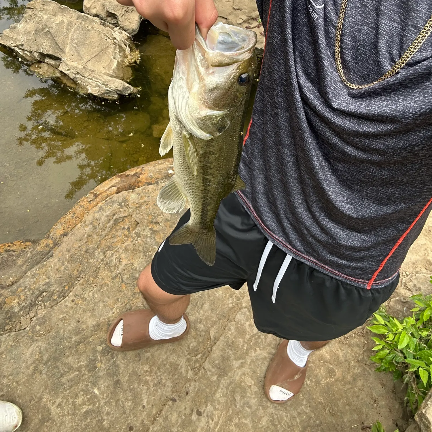angler catch