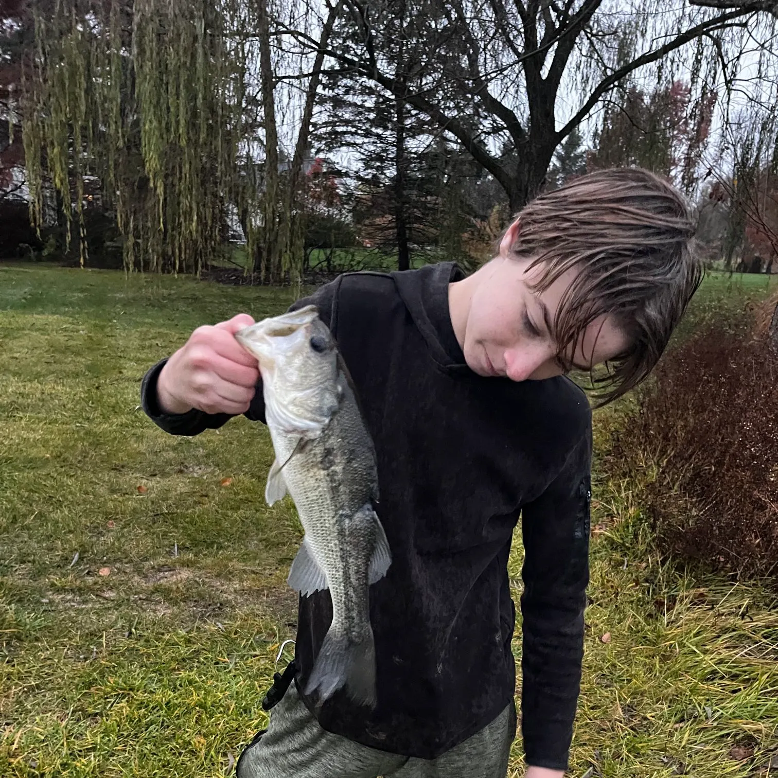 The most recent Largemouth bass catches on Fishbrain
