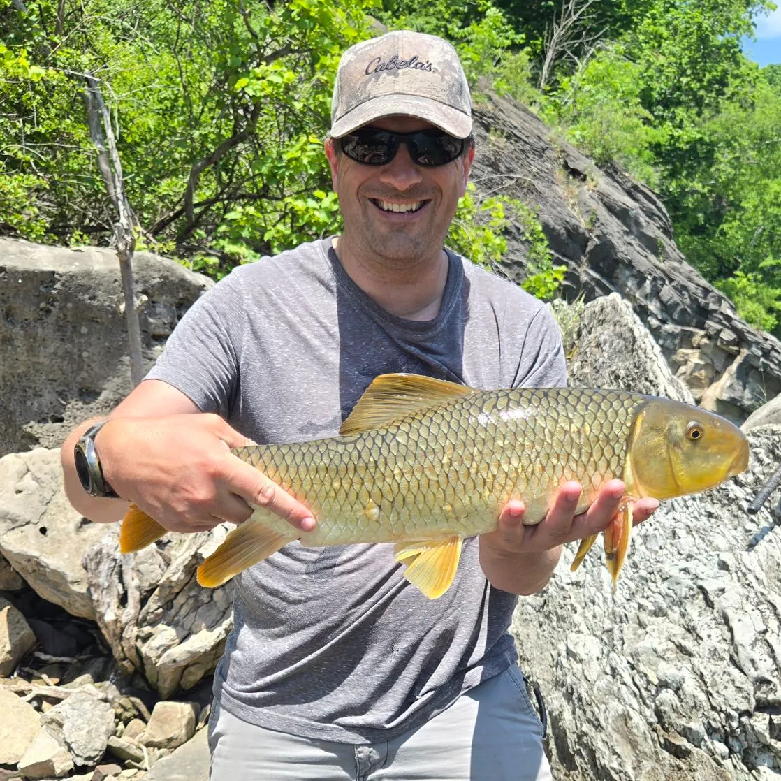 The most recent River redhorse catches on Fishbrain