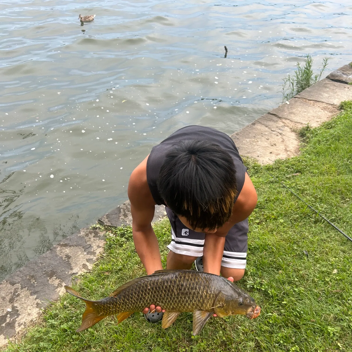 catch
