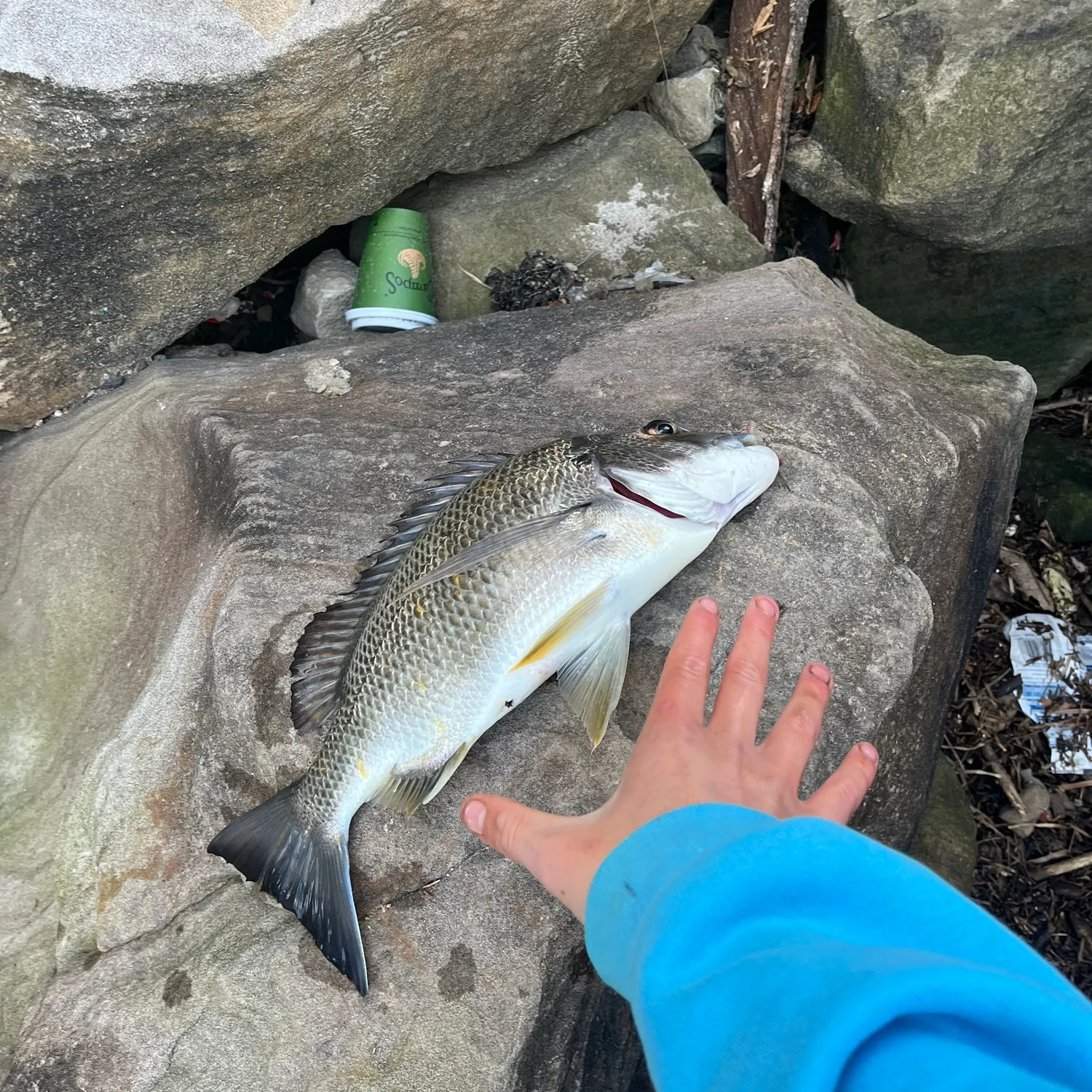 catch