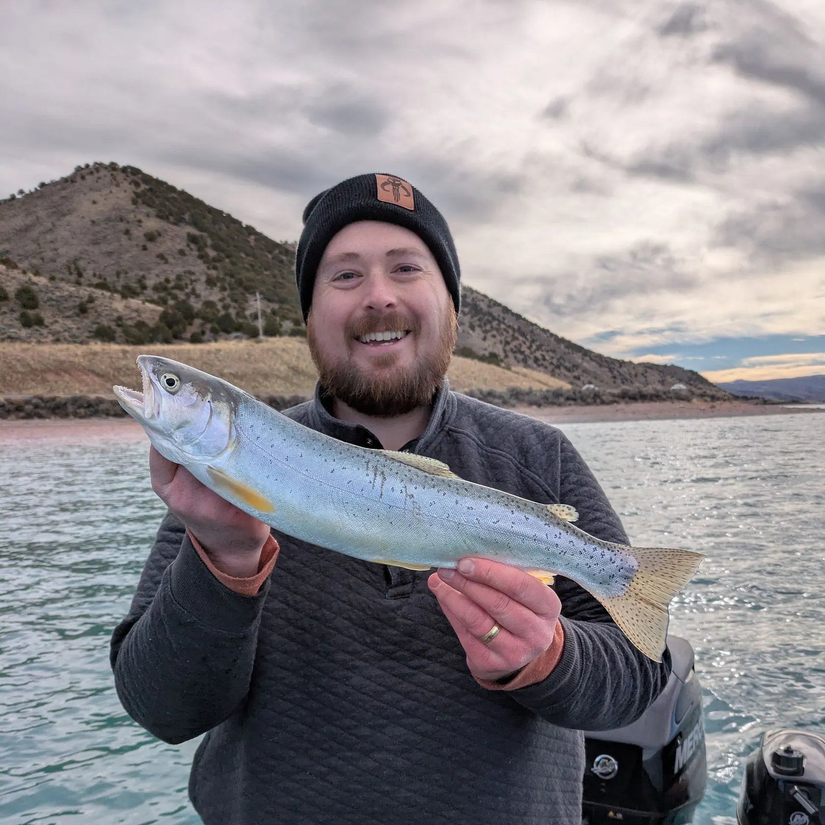 The most recent Bear Lake cutthroat trout catches on Fishbrain
