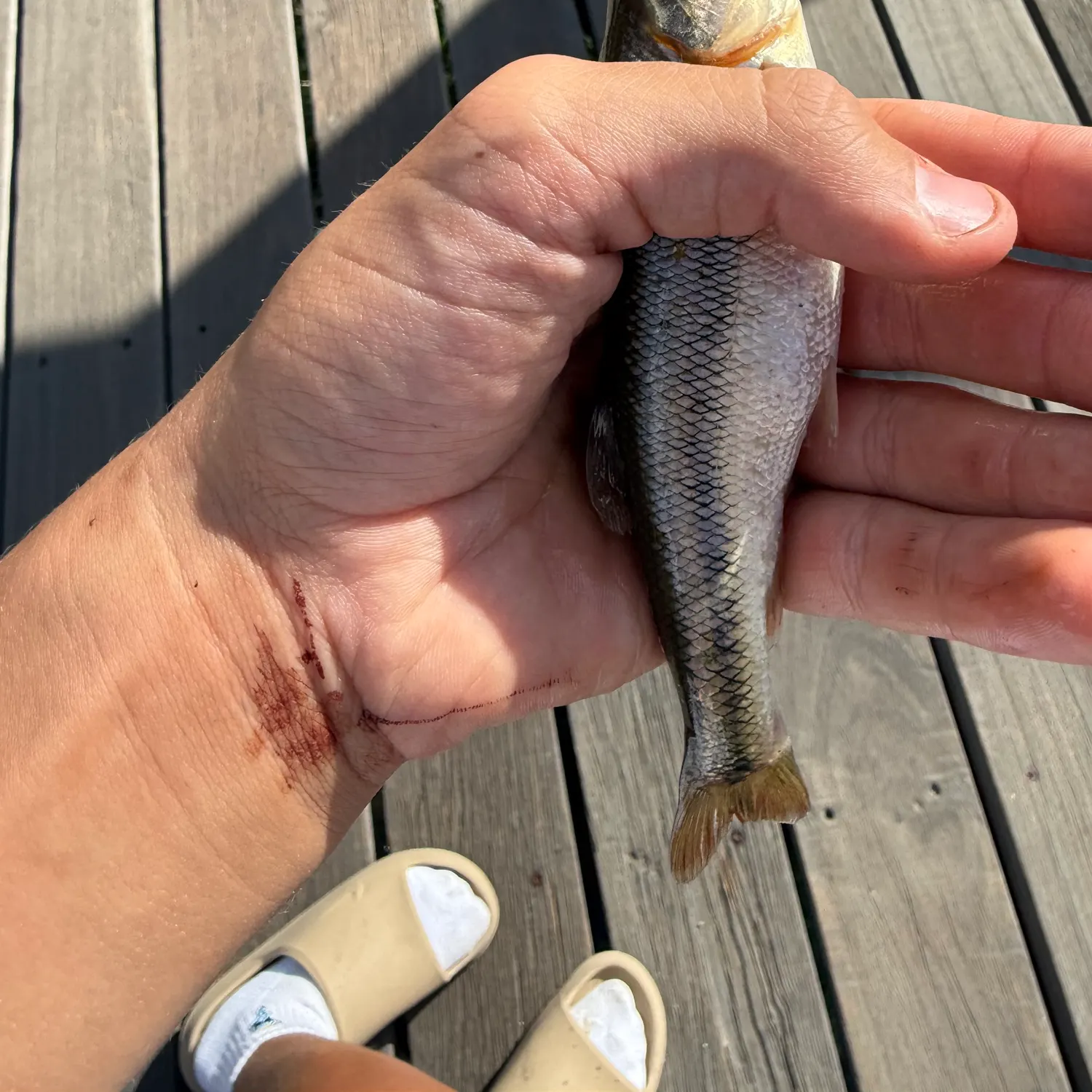 catch