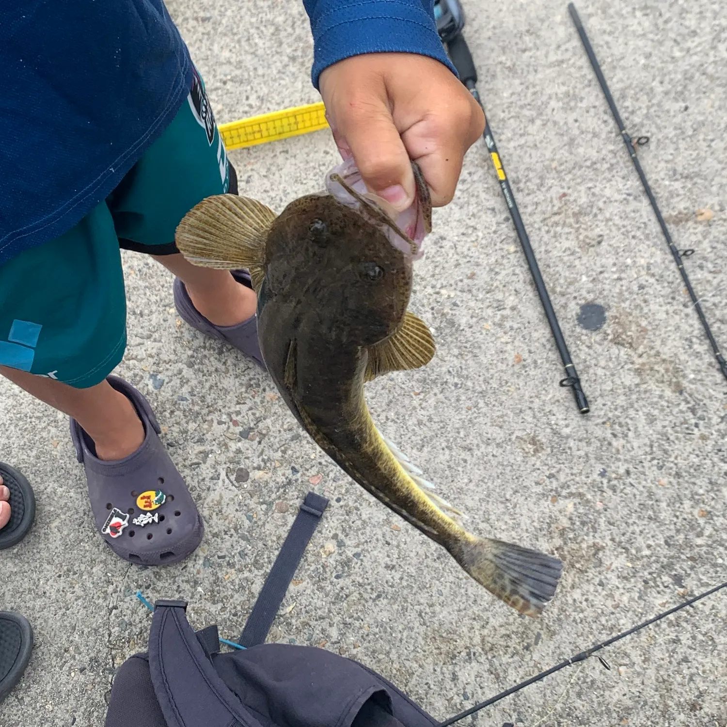 The most recent Dusky flathead catches on Fishbrain