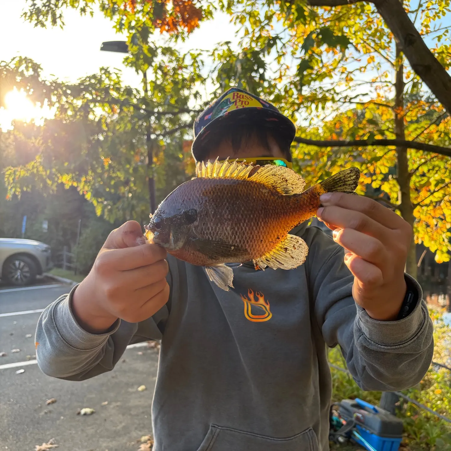 Bluegill caught on Fishbrain