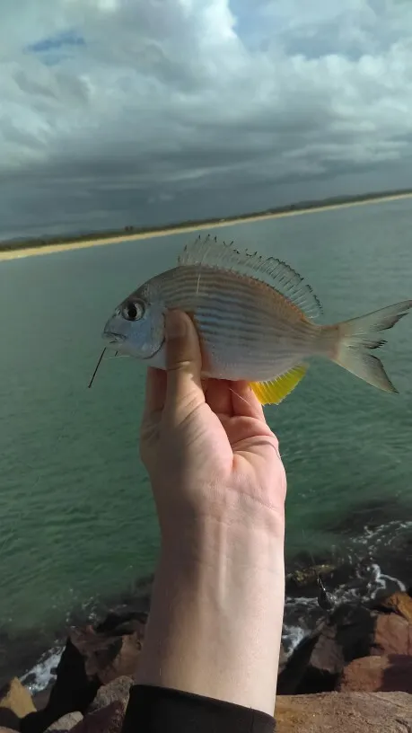 Post image from Fisherholic51