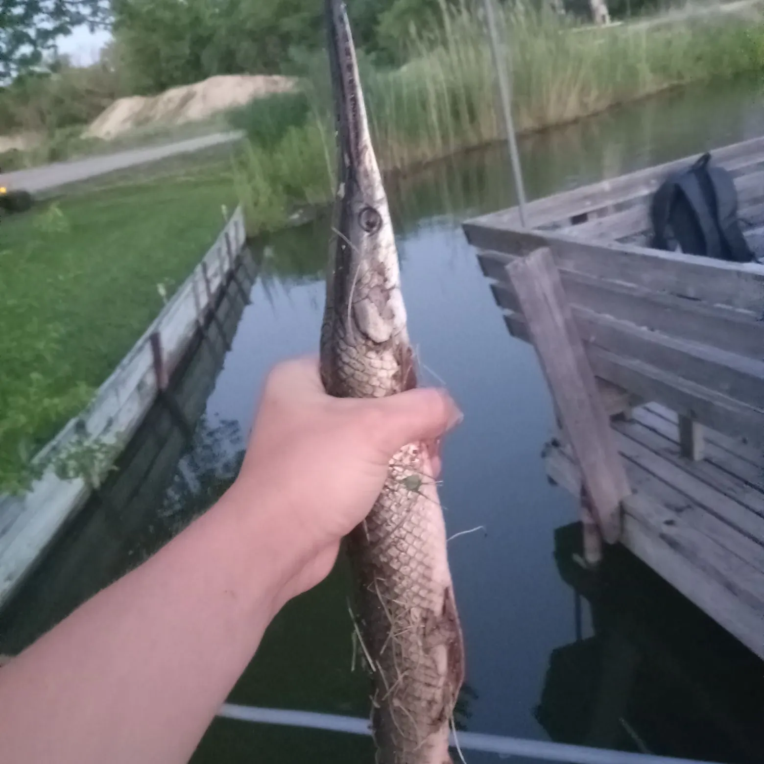 catch