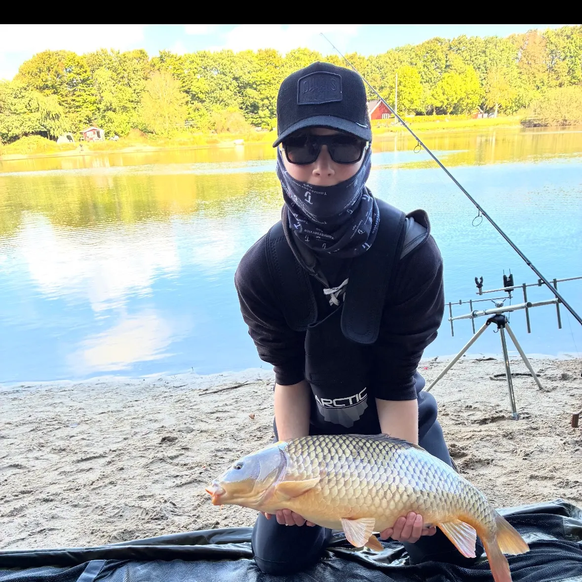 Common carp caught on Fishbrain